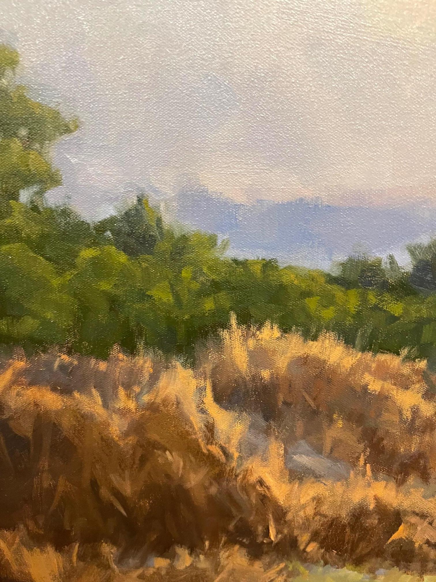 Framed Oil on Canvas 