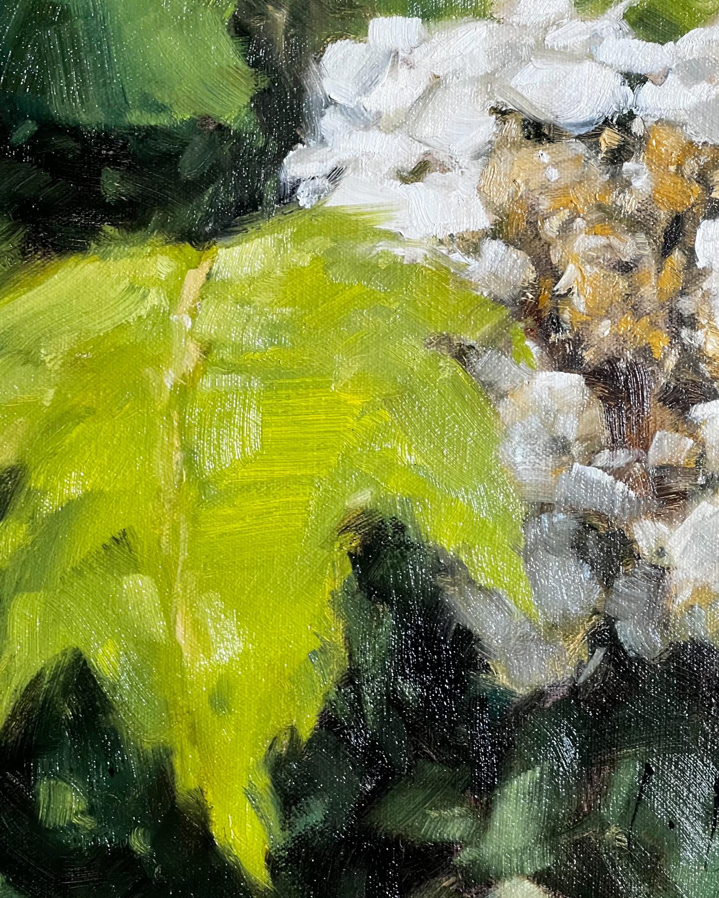 Lacey Blossoms, Fiori bianchi realistici e pittorici Olio su tela - Painting Realismo di Laurel Daniel