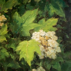 Lacey Blossoms, Painterly Realistic White Flowers Oil on Canvas