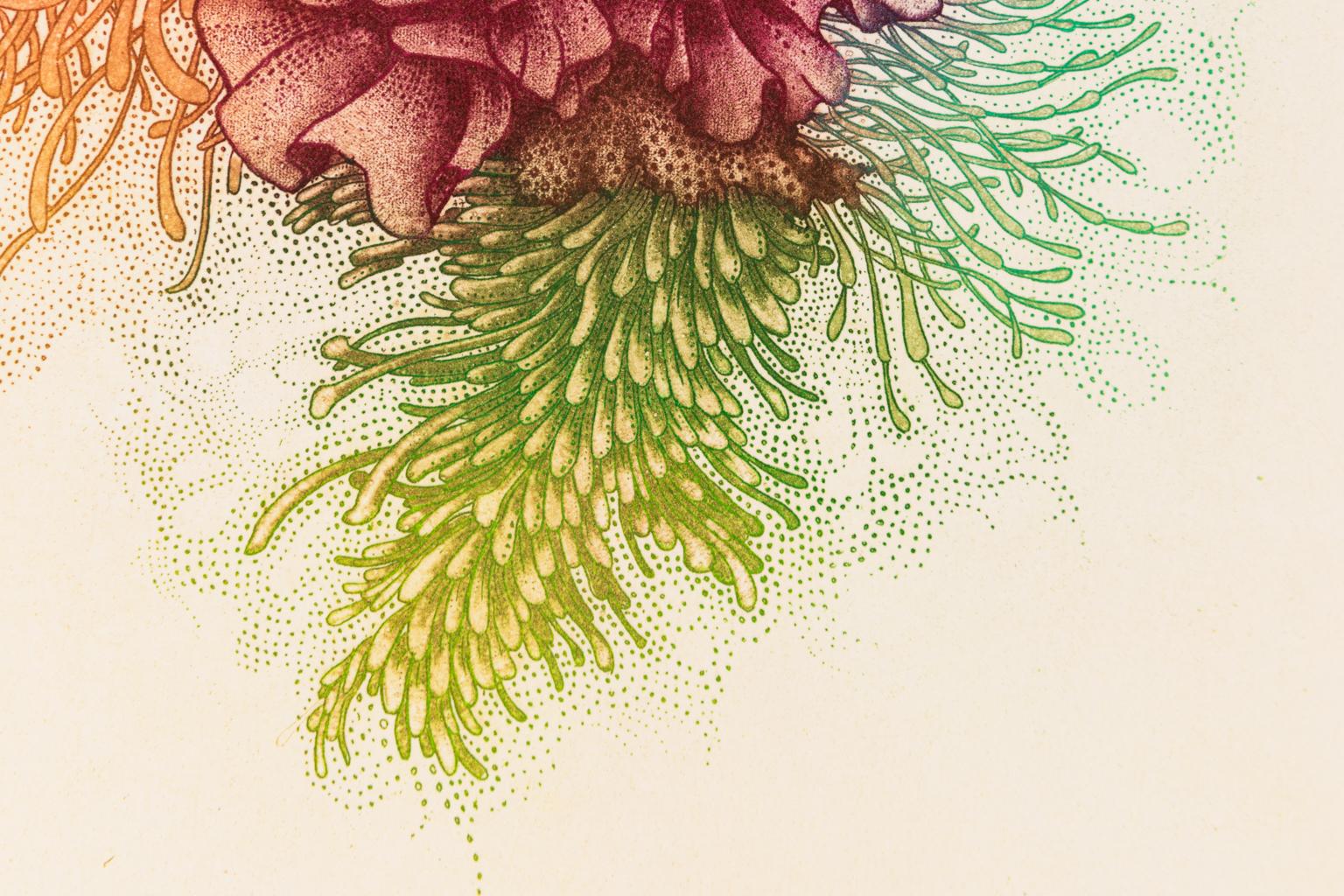 corail dessin couleur