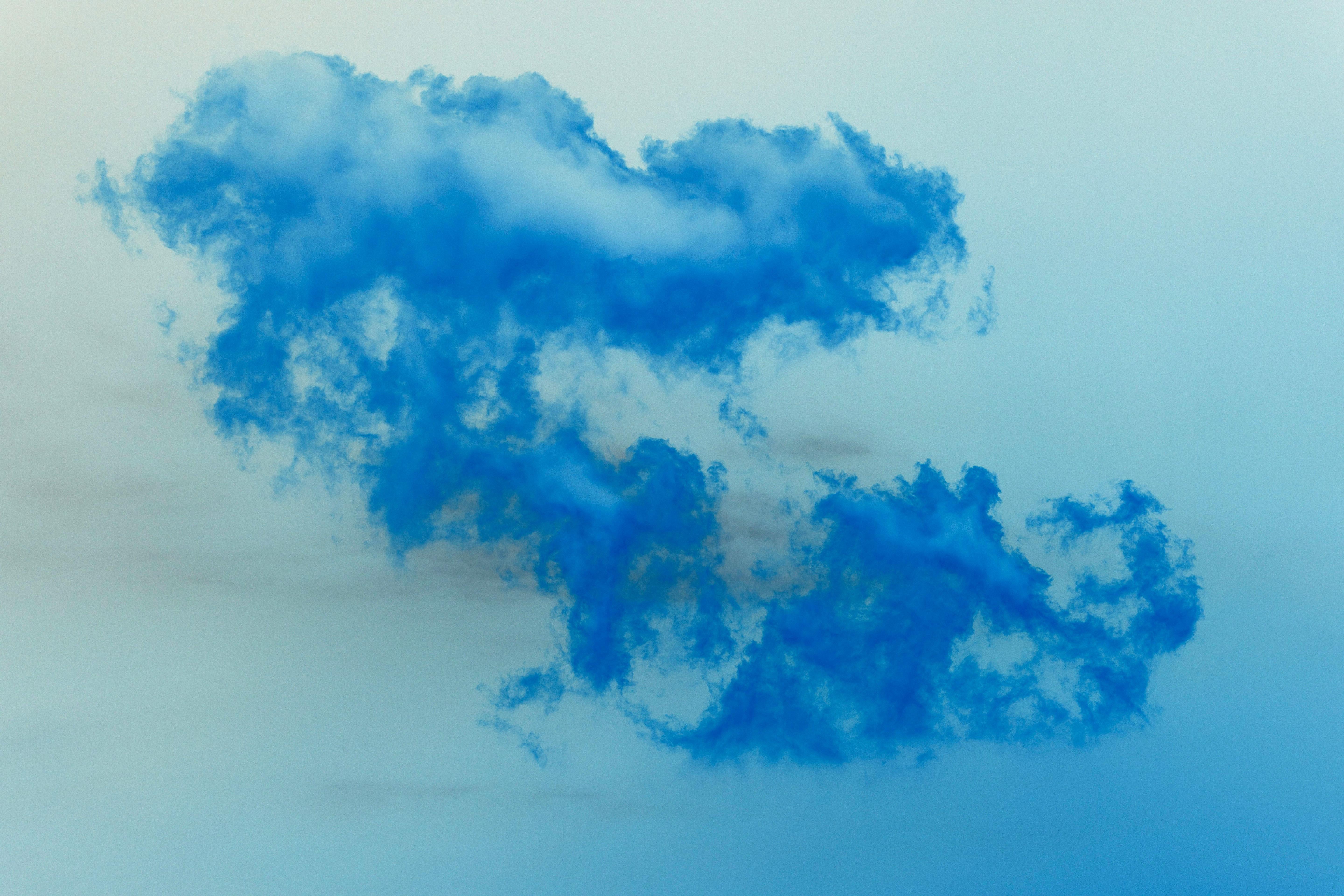 French Contemporary Photography by Laurence Gallien - Le Songe de l'Oiseau