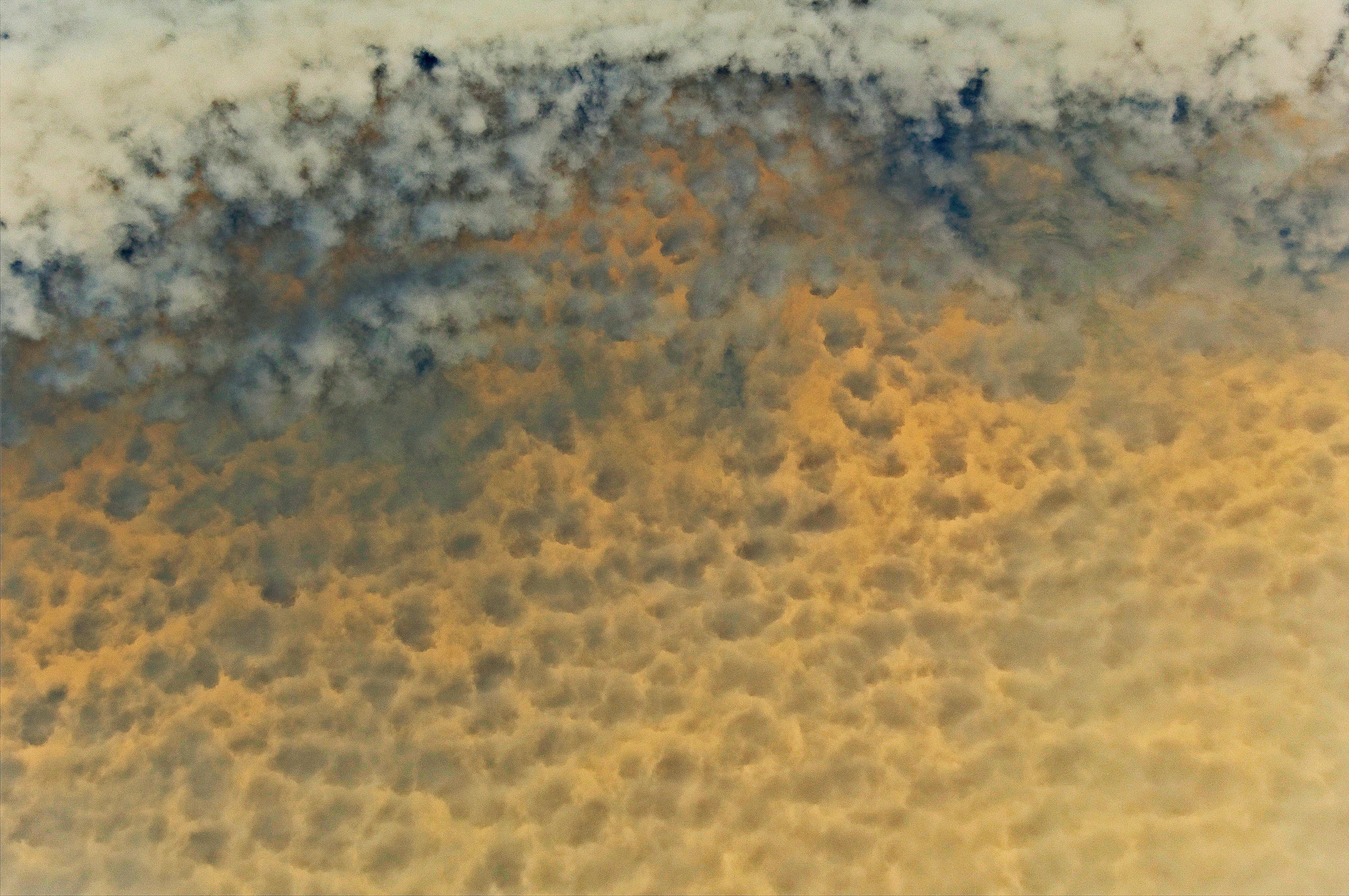 Zeitgenössische französische Fotografie von Laurence Gallien - Neige et Cendres
