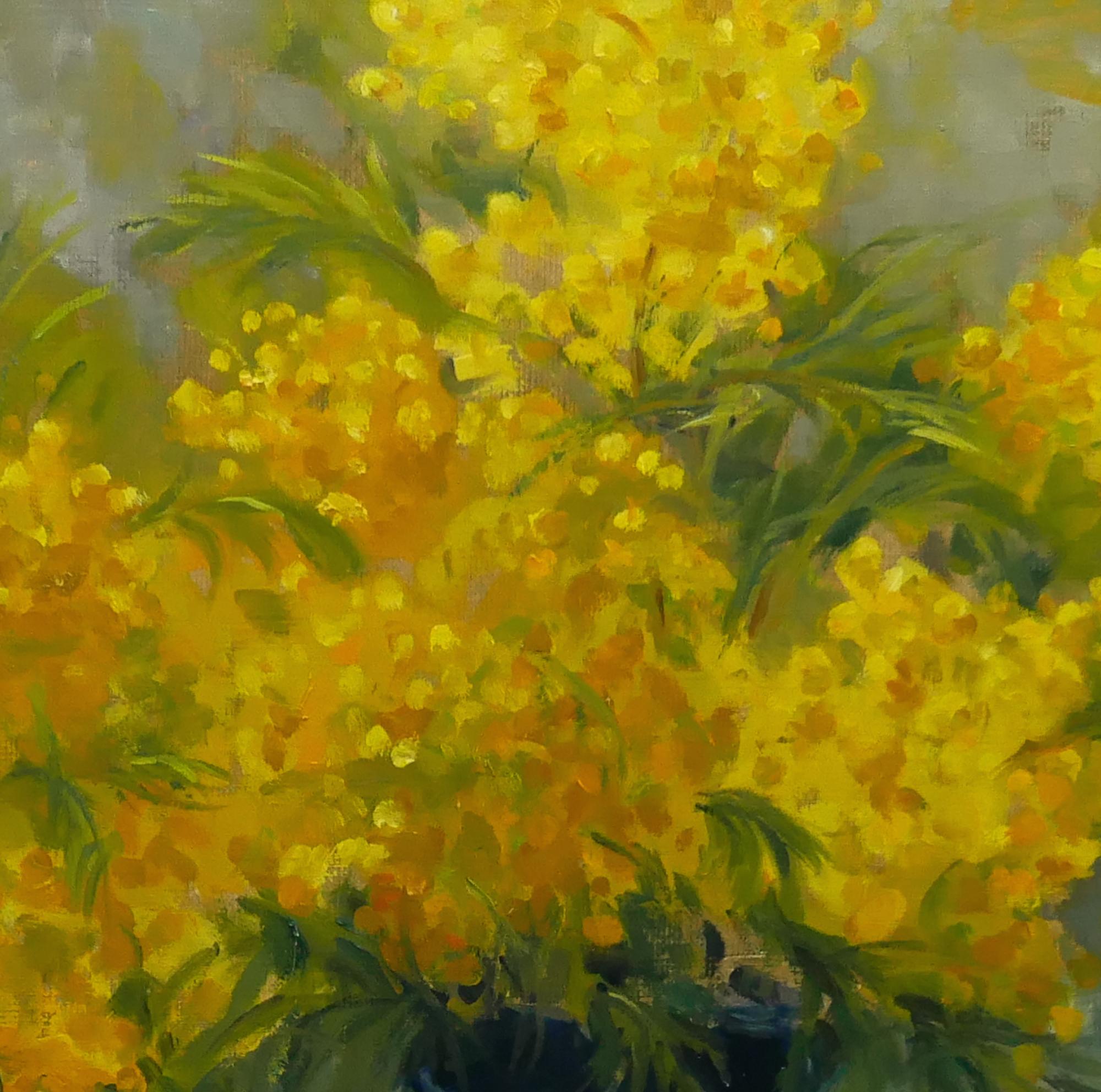 Le Mimose im Angebot 1
