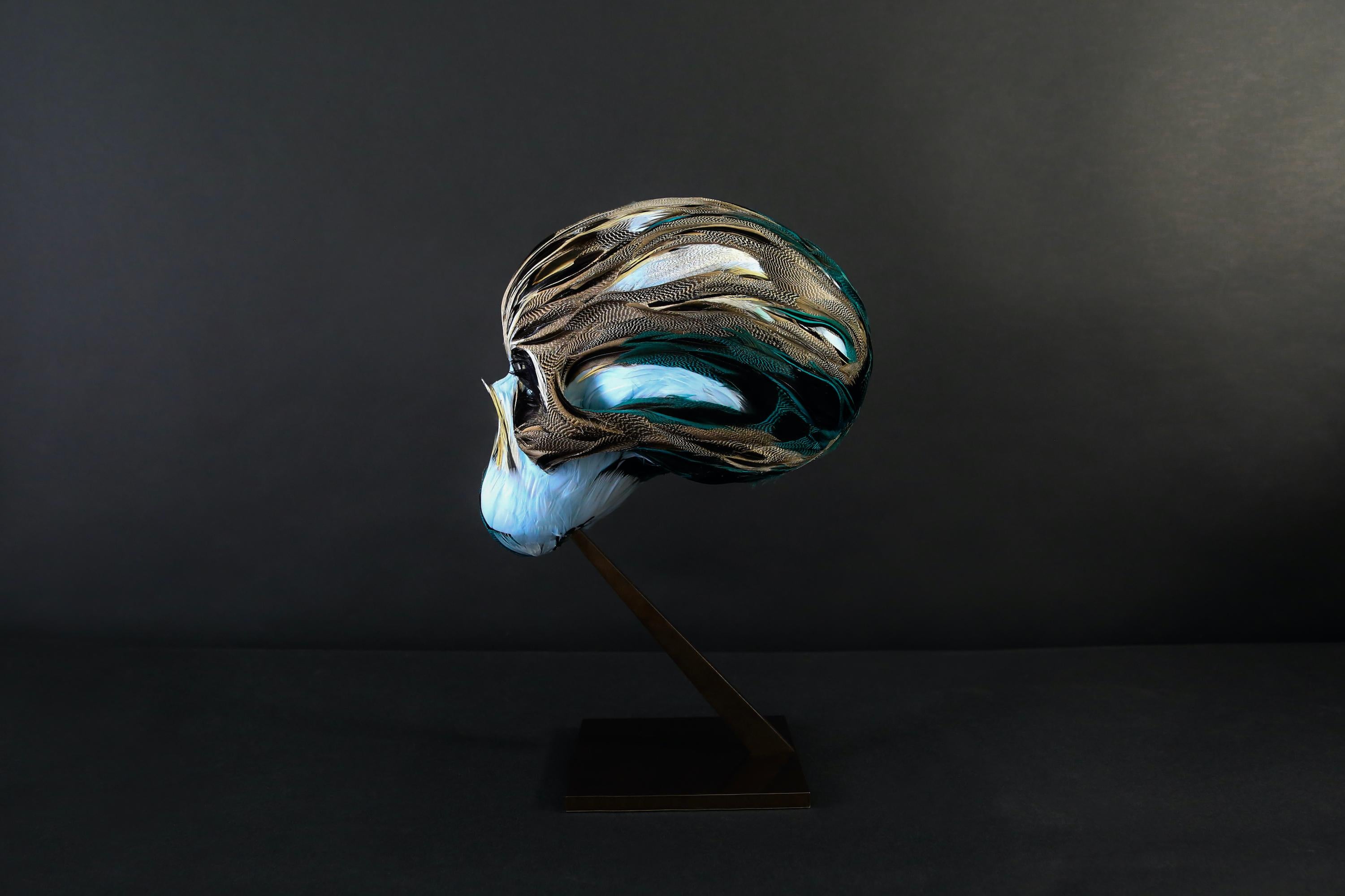 Ninon, skull vanité, still life sculpture by Laurence Le Constant For Sale 6