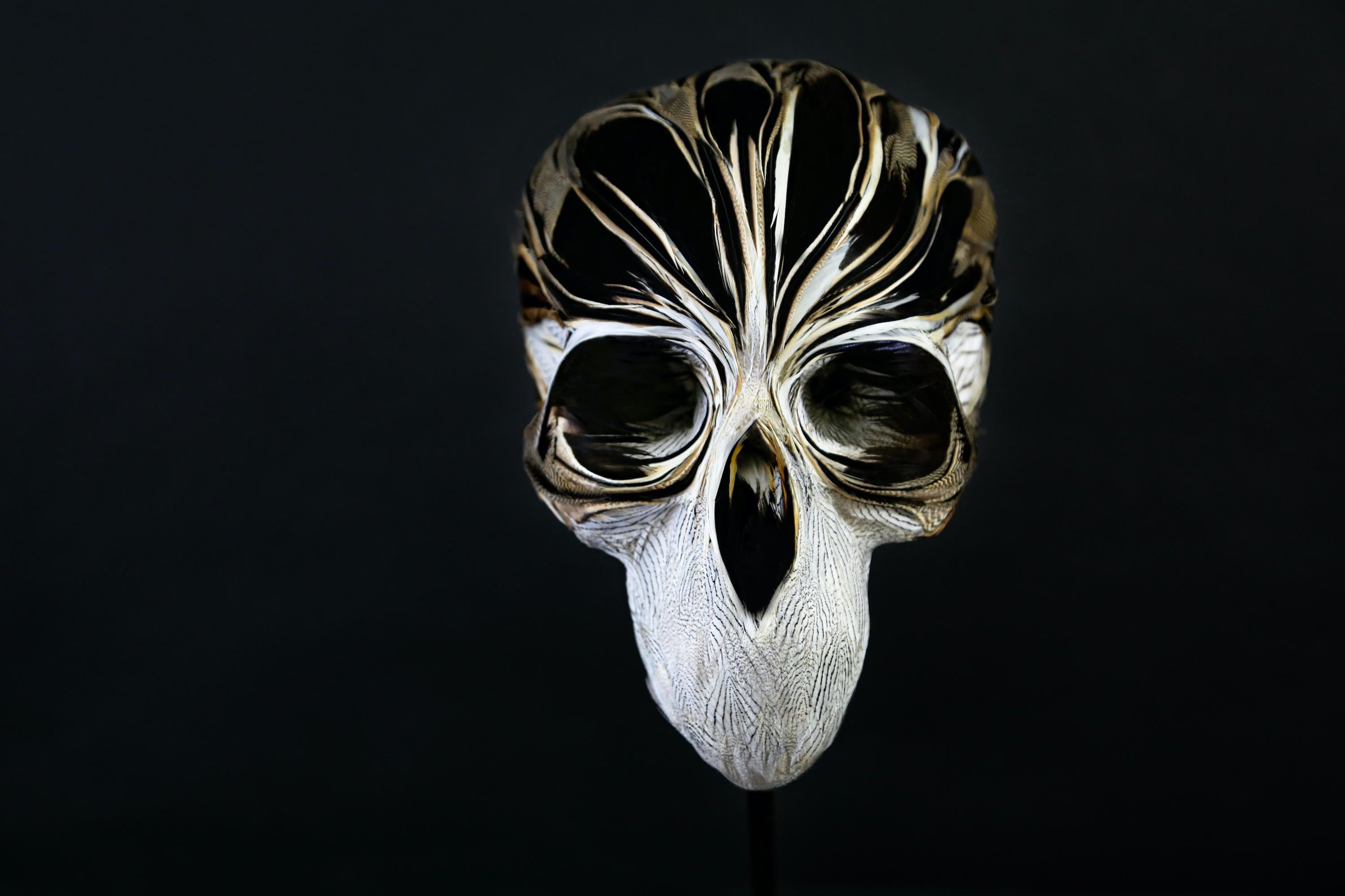 Talya, is a unique work of the French contemporary artist Laurence Le Constant. 
Duck and silver pheasant feathers, resin sculpture and base in patinated brass

This skull is part of the series My lovely bones, where the artist becomes an