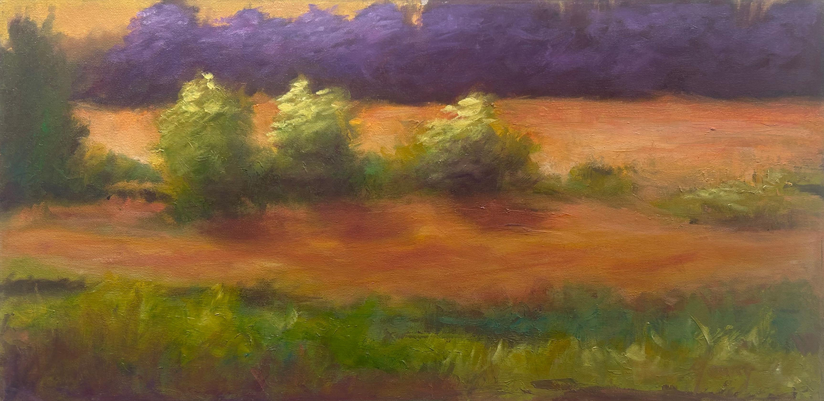 Laurence Young, « L'ordre des choses », peinture de paysage impressionniste 12 x 24