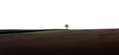 Used Loneliness- Signed limited edition nature print, Tree, Field, Green panorama