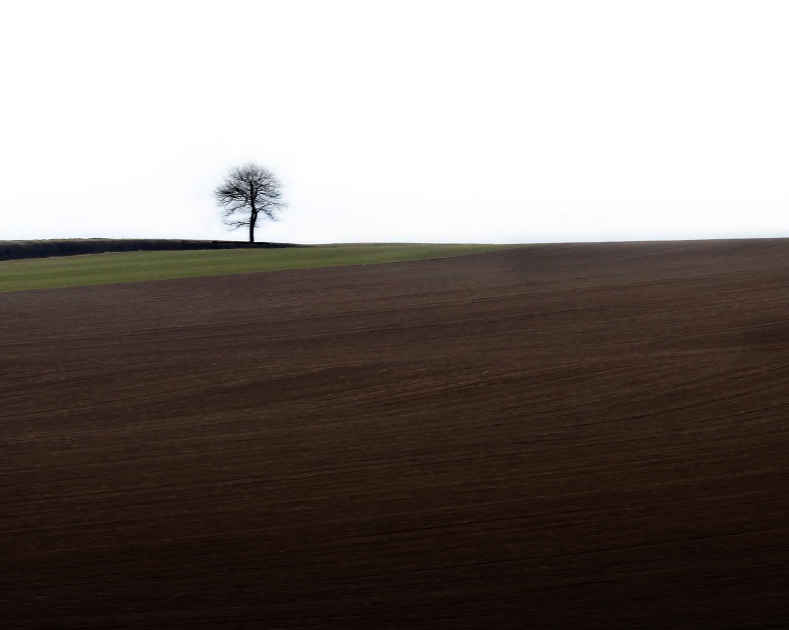 Loneliness- Signed limited edition nature print, Tree, Field, Green panorama - Photograph by Laurent Campus