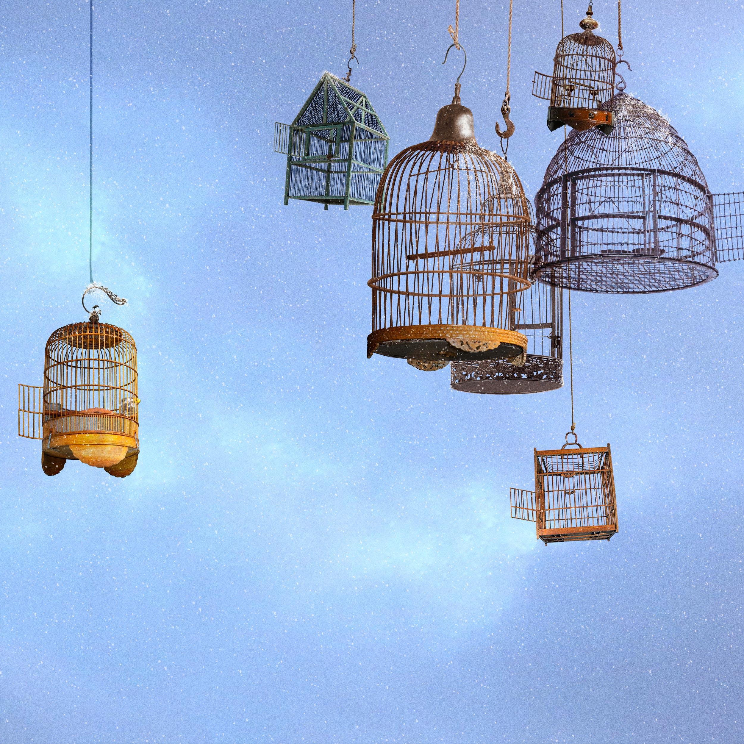 Bird charmer - Contemporary whimsical digital photo montage of a flying house  - Blue Color Photograph by Laurent Chéhère