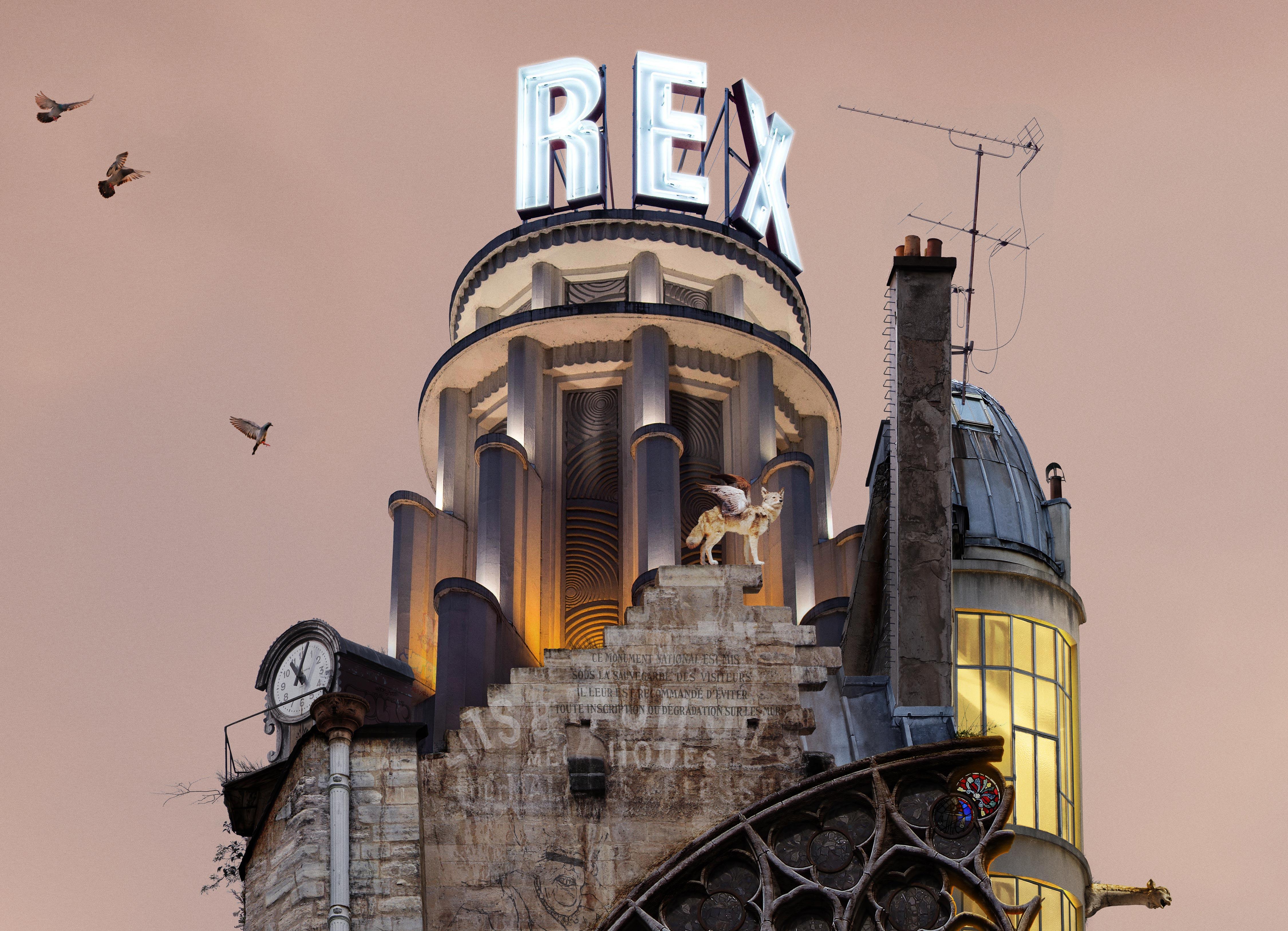 Notre Dame Cathedral- Contemporary whimsical digital color photo of flying house 4