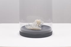 Ecofact 3 Abstract Sculpture, Nylon, Contemporary, Unframed, 2010+