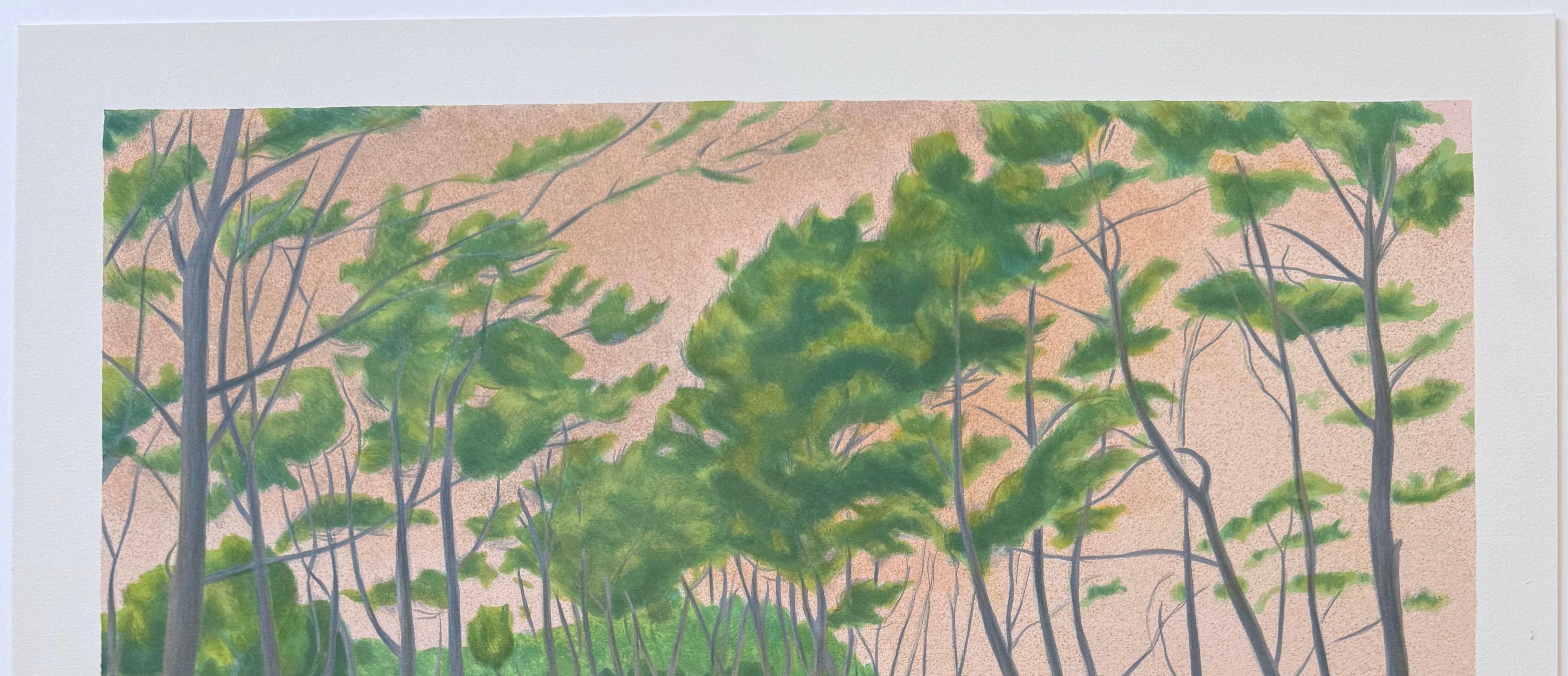Artist - Laurent Marcel Salinas (born 1913 Alexandria, Egypt, died 2010 in America)
Title - WINDSWEPT LANDSCAPE 
WINDSWEPT LANDSCAPE is an original hand drawn limited edition lithograph by the listed French artist Laurent Marcel Salinas, printed