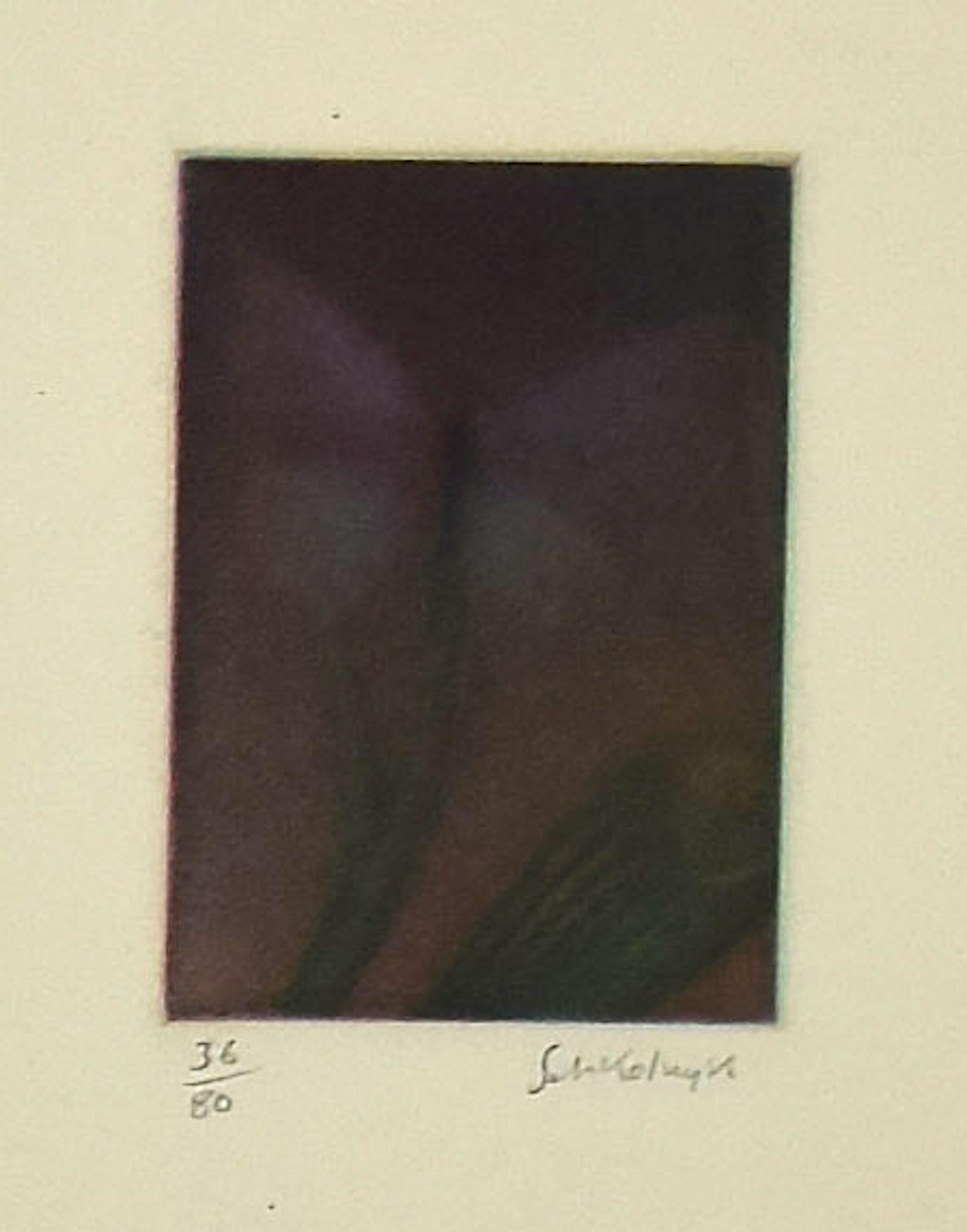 Komposition ist ein zeitgenössisches Kunstwerk von Laurent Schkolnyk (Paris, 1953). 

Original-Radierung auf Papier. 

Passepartout ist enthalten (cm 60 x 40). 

Am unteren Rand mit Bleistift handsigniert und nummeriert: 36/80 Schkolnyk.

Auflage: