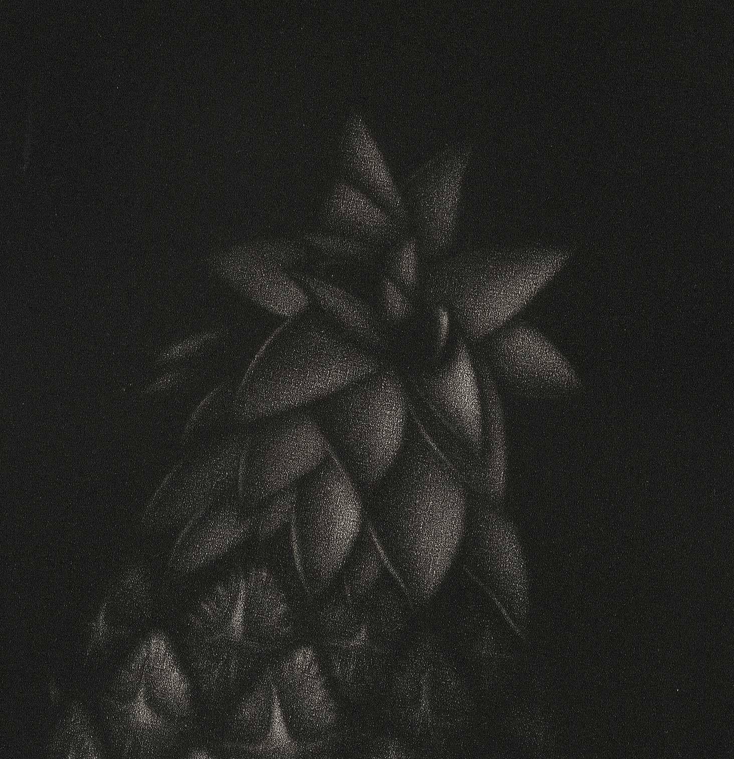 L' Ananas (La Piña, símbolo de hospitalidad) - Print de Laurent Schkolnyk