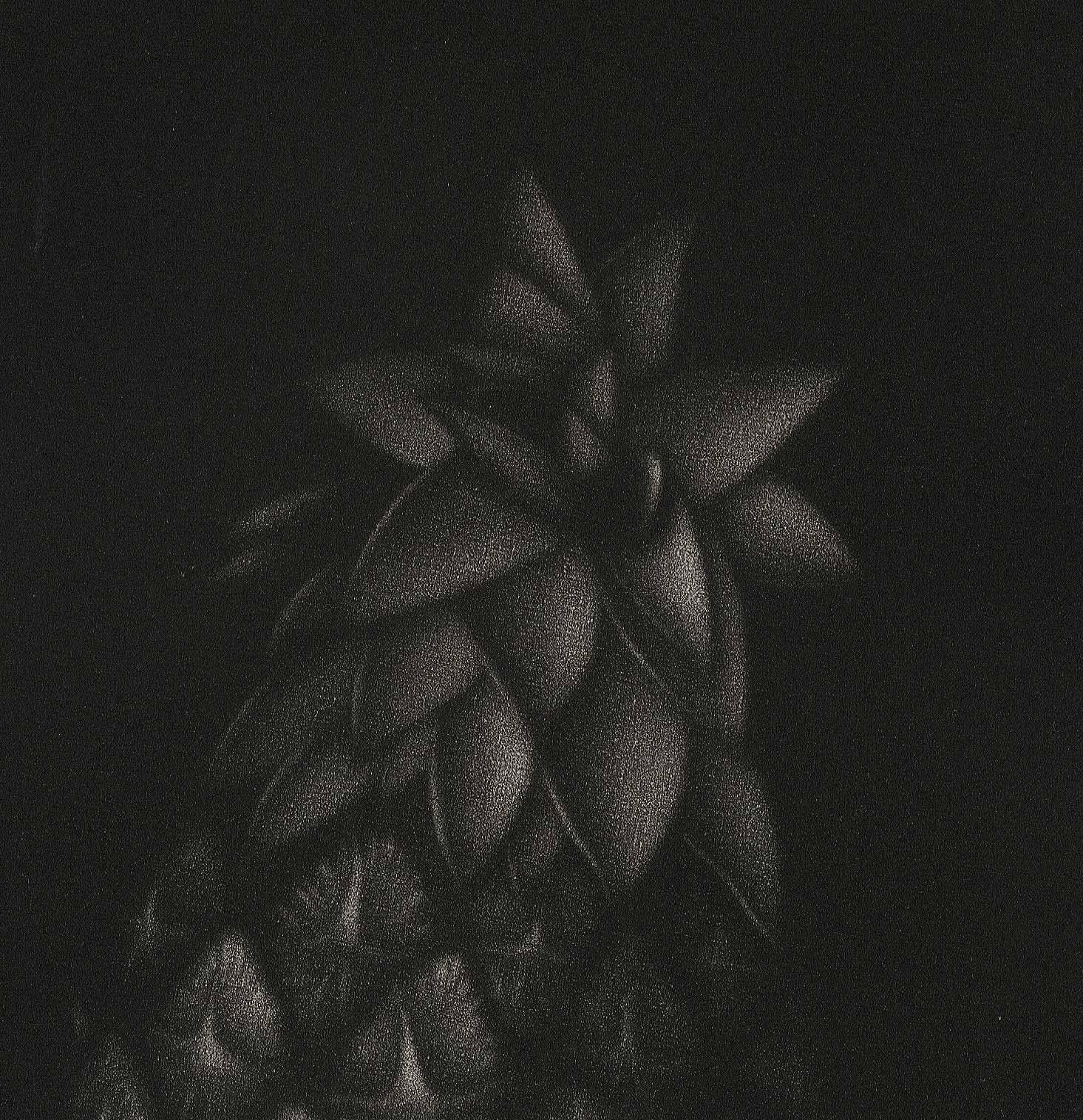 Ananas (Die Ananas, ein Symbol des Gastgewerbes) – Print von Laurent Schkolnyk