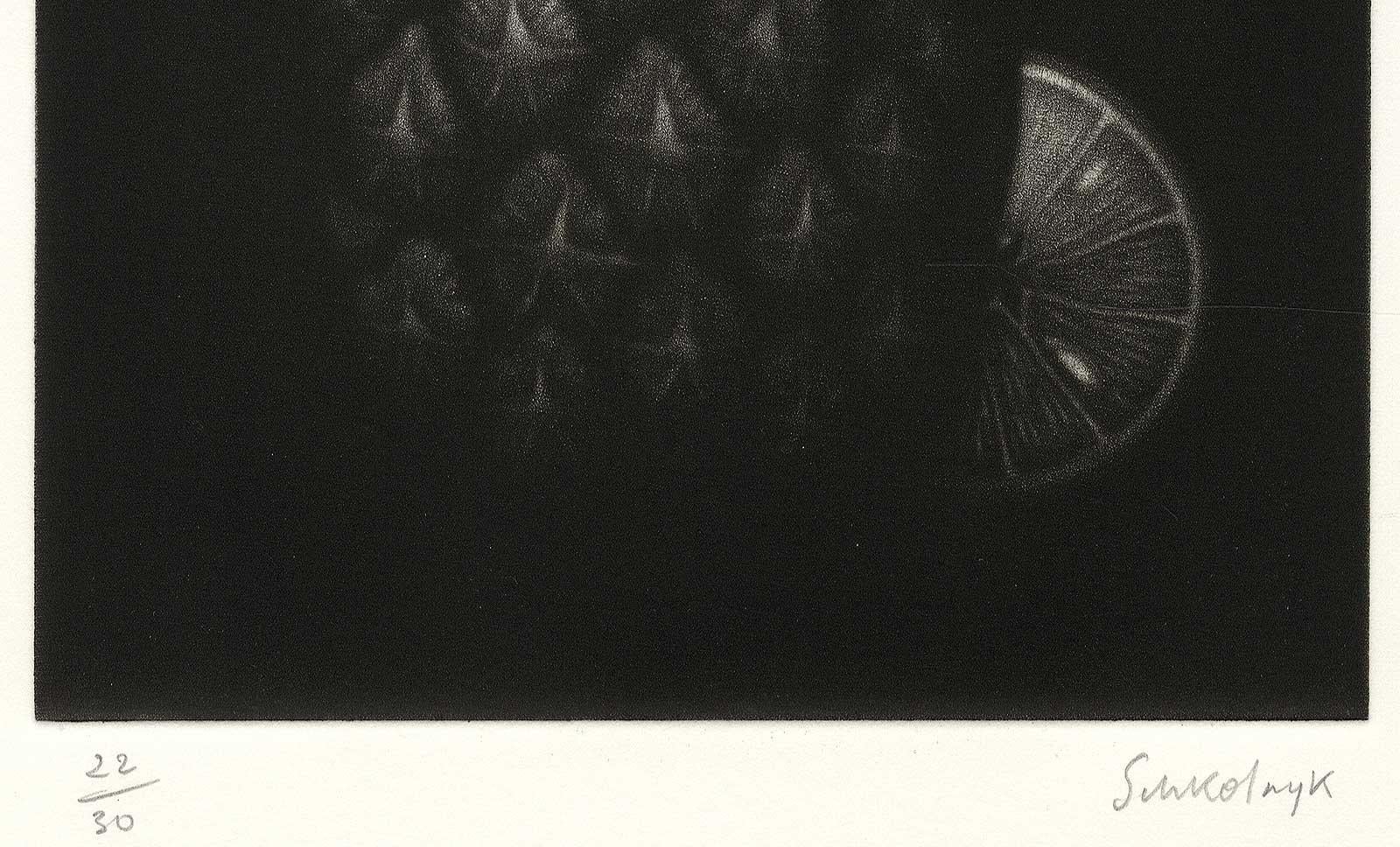 Ananas (Die Ananas, ein Symbol des Gastgewerbes) (Amerikanische Moderne), Print, von Laurent Schkolnyk