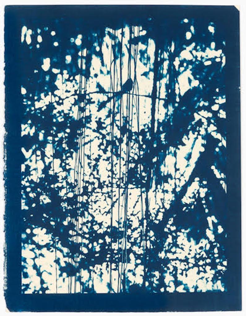 Laurie Lambrecht Abstract Print – Erwähnungen des Künstlers
