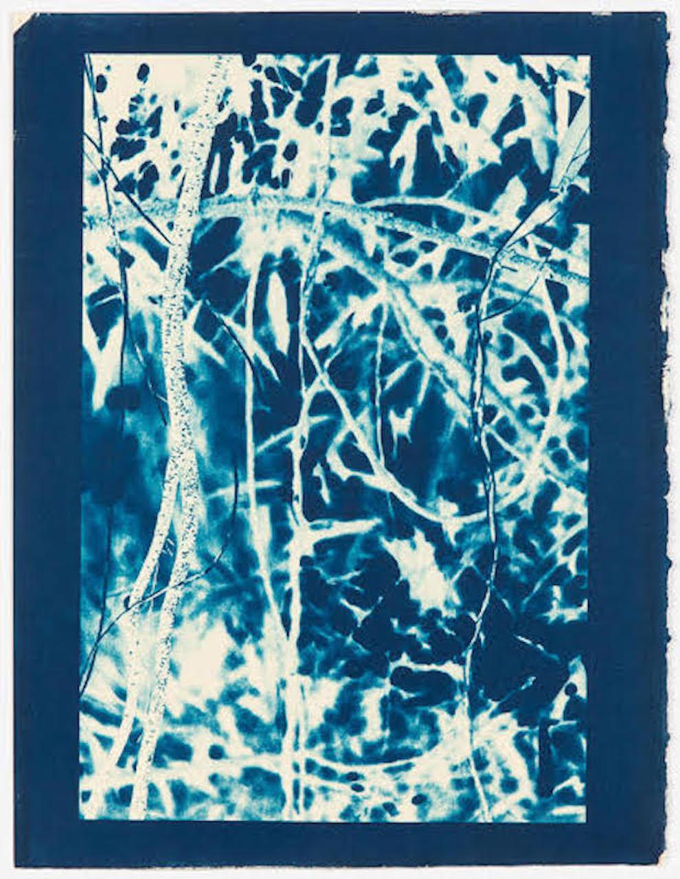 Laurie Lambrecht Abstract Print - Swirling Vines Blue