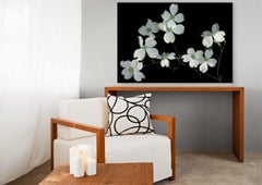 Dogwood: Signed, Limited Edition Botanical Photograph, Outdoor or Indoor Display