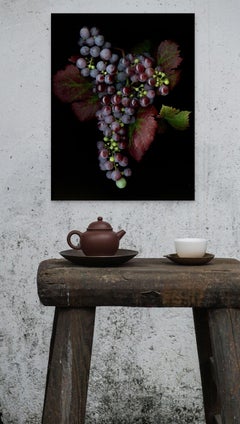 Pinot Noir: Signed, Limited Edition Botanical Photograph for Outdoors or Indoors