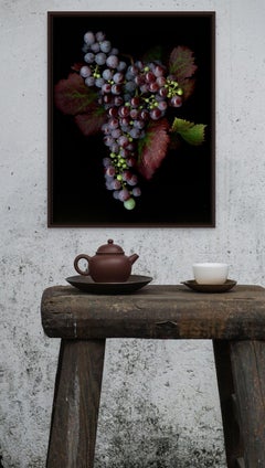 Pinot Noir: signed framed Botanical photograph of red grapes, leaves, & vine