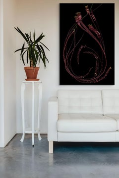 Trichosigma: Signed, Limited Edition Botanical Photograph for outdoors / indoors