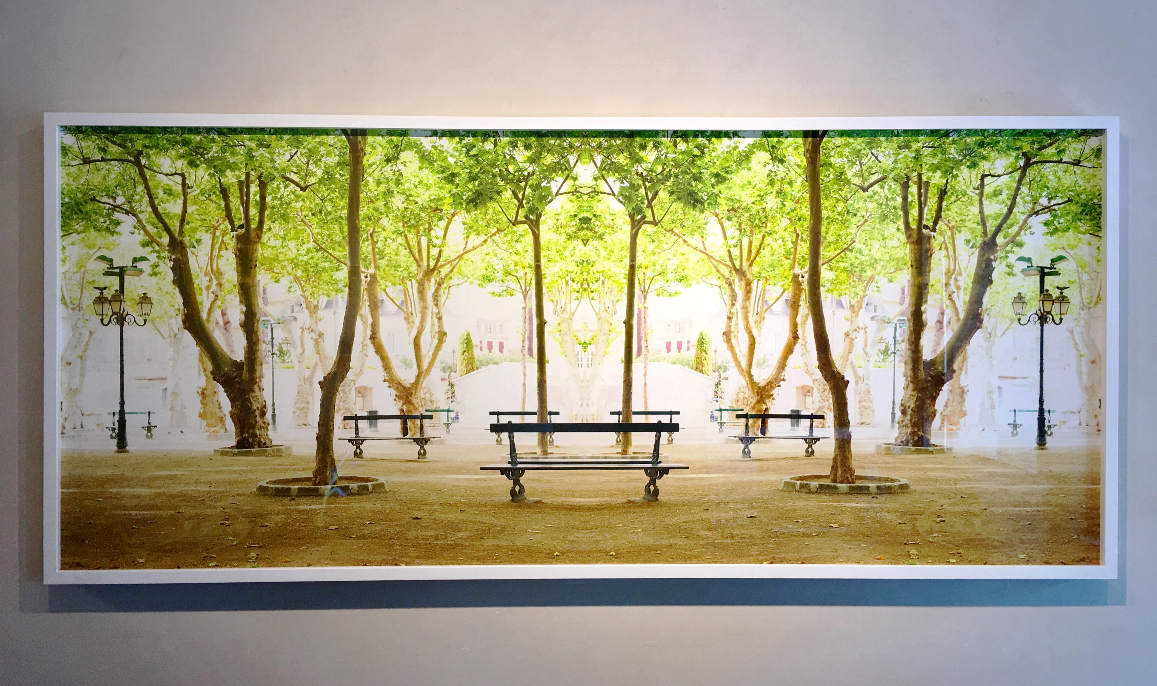 Trees IV, St Tropez- un-framed archival pigment print  - Photograph by Laurie Victor Kay