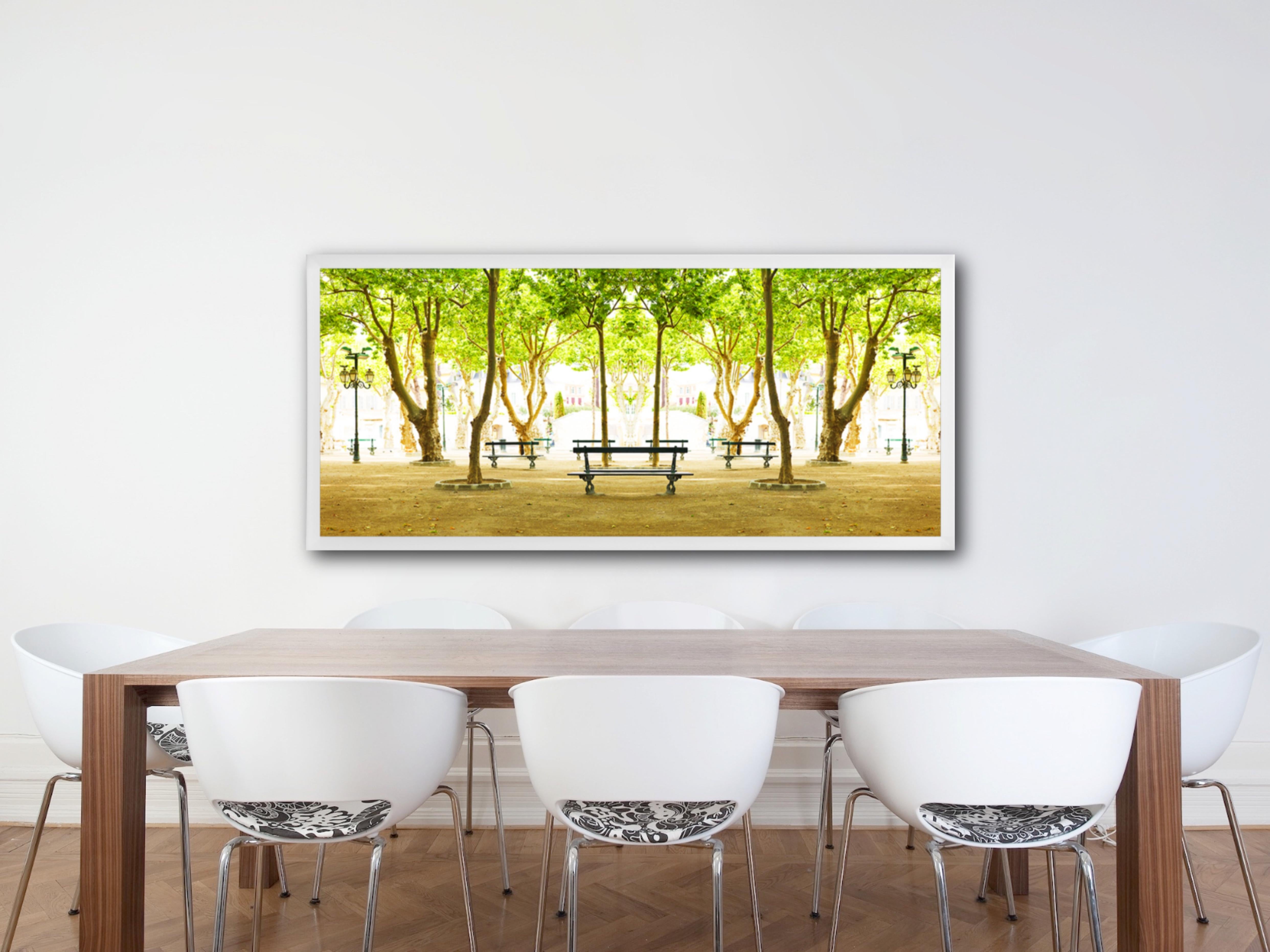 Trees IV, St Tropez- un-framed archival pigment print  - Contemporary Photograph by Laurie Victor Kay