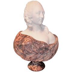 Lavender and Cream Marble Bust in Louis XVI Neoclassical Style