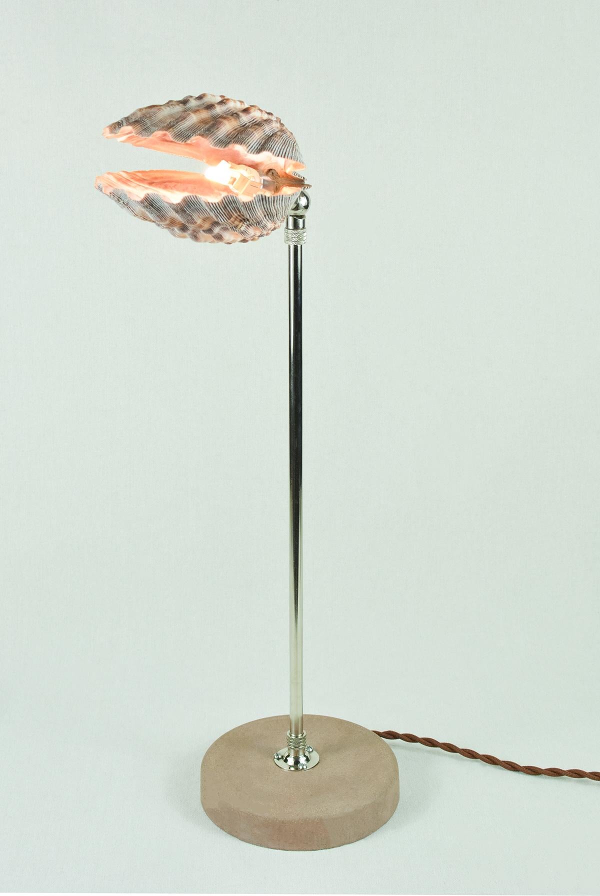 'Lavender Lion's Paw' Table Lamp in Nickel with Natural Scallop Shell Shade For Sale 3