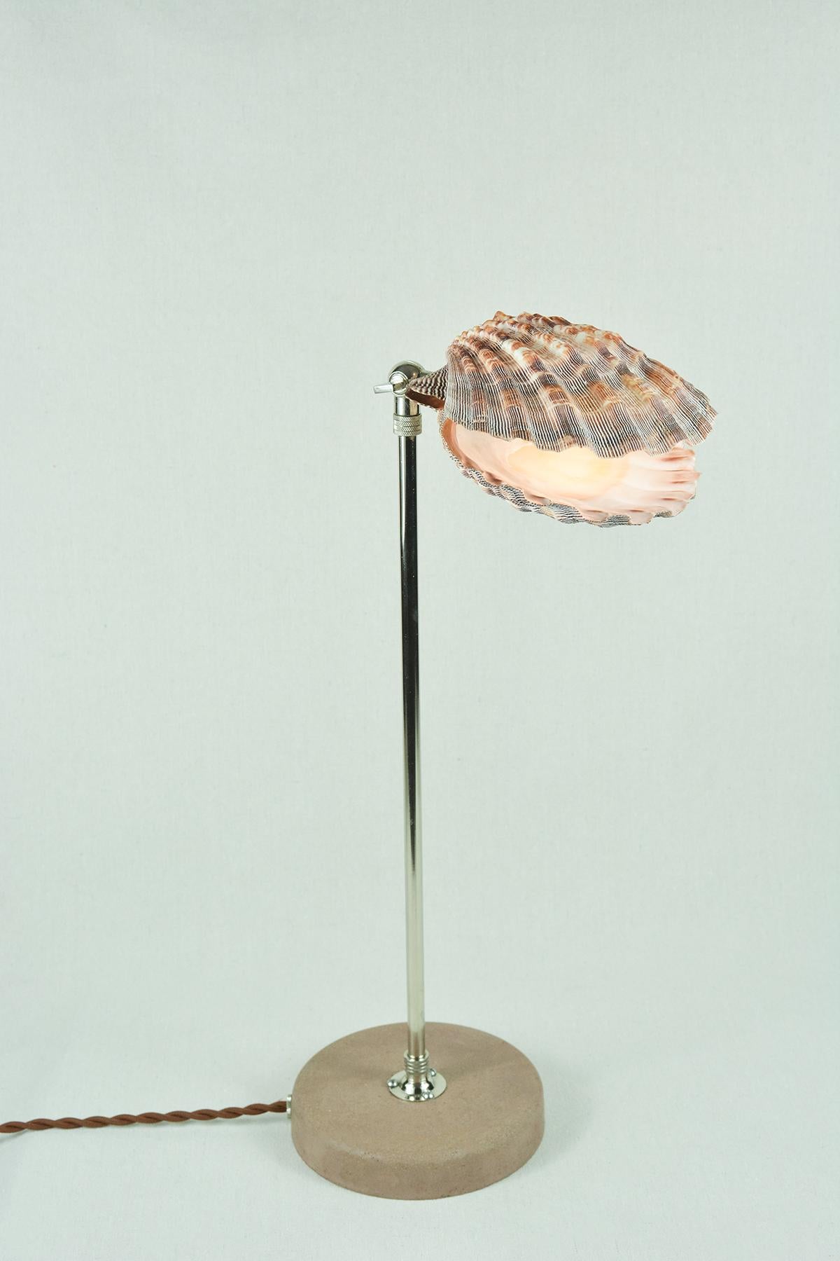 Modern 'Lavender Lion's Paw' Table Lamp in Nickel with Natural Scallop Shell Shade For Sale
