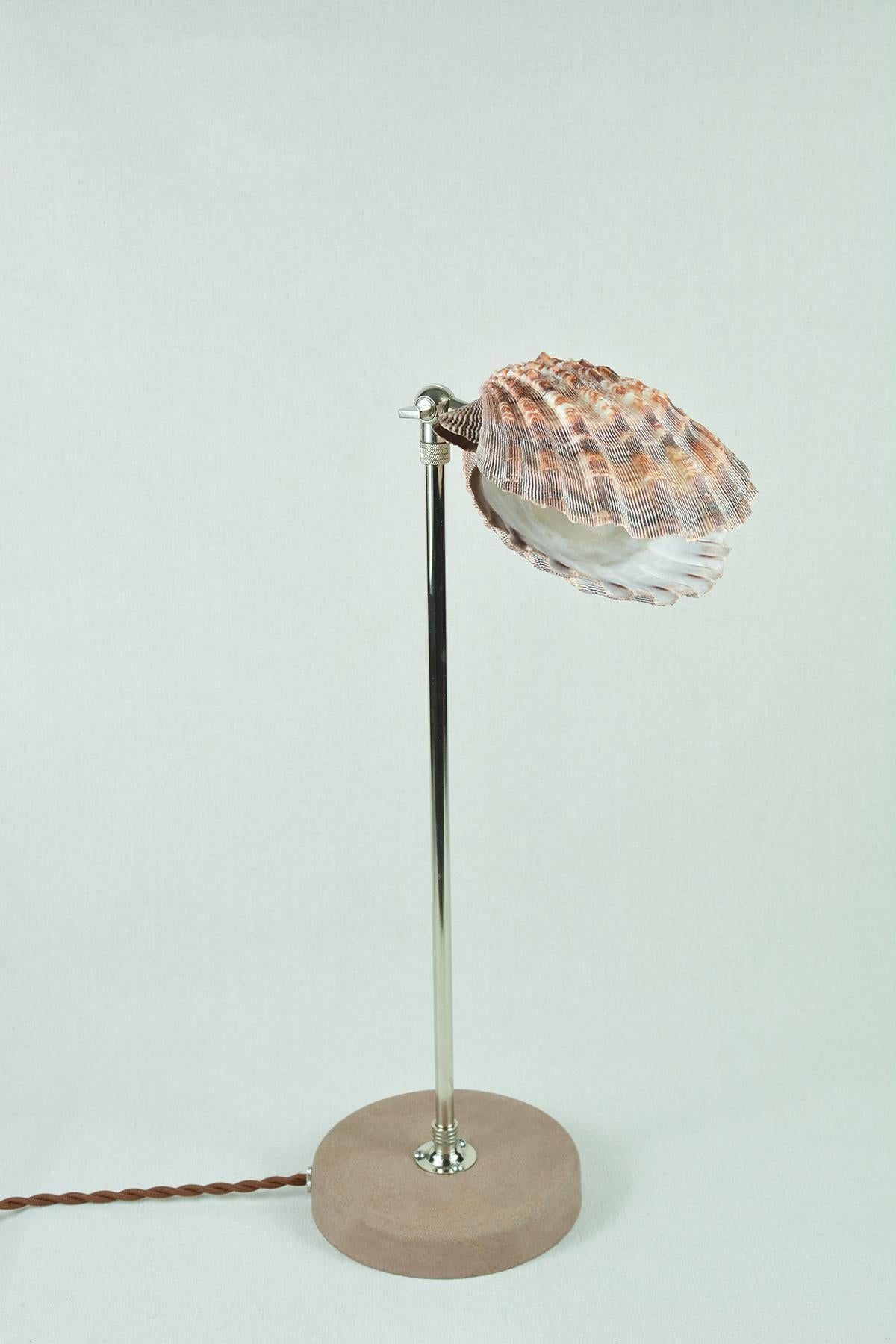 American 'Lavender Lion's Paw' Table Lamp in Nickel with Natural Scallop Shell Shade For Sale