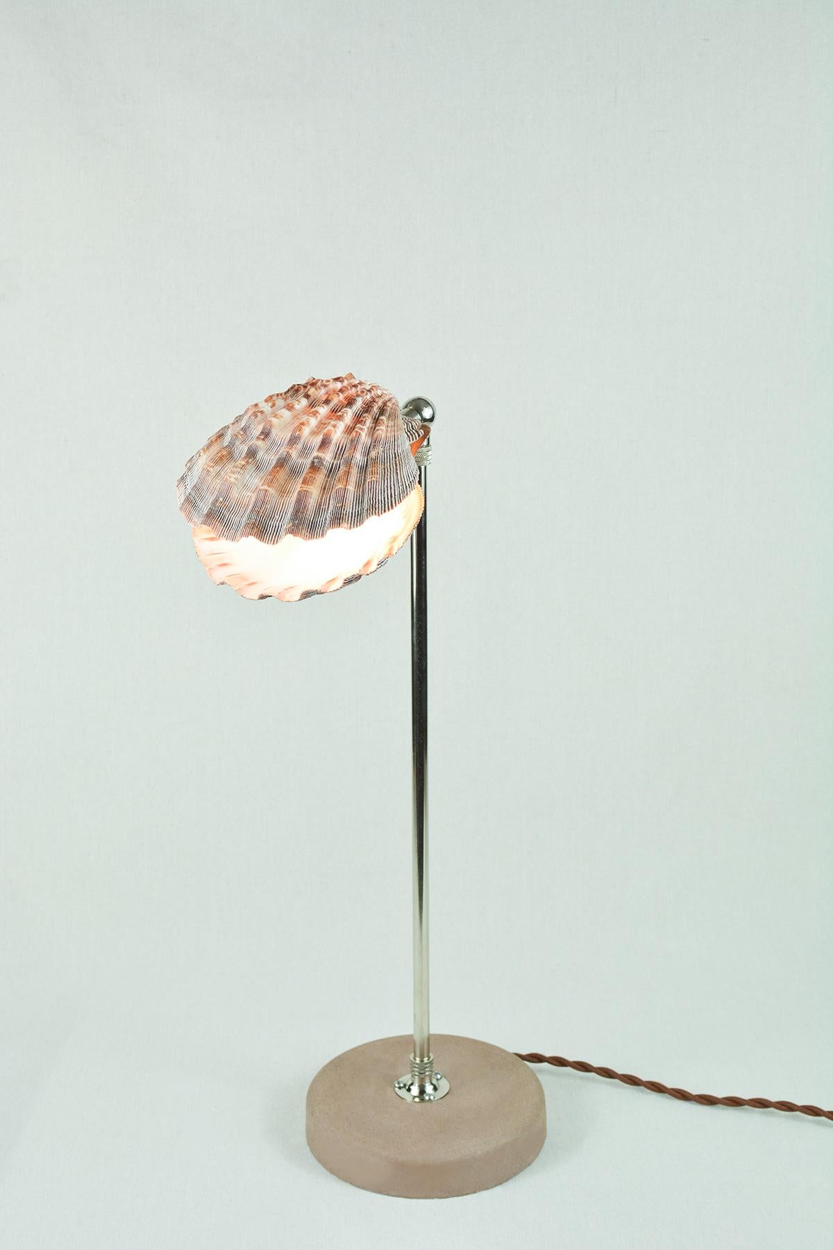 Cast 'Lavender Lion's Paw' Table Lamp in Nickel with Natural Scallop Shell Shade For Sale