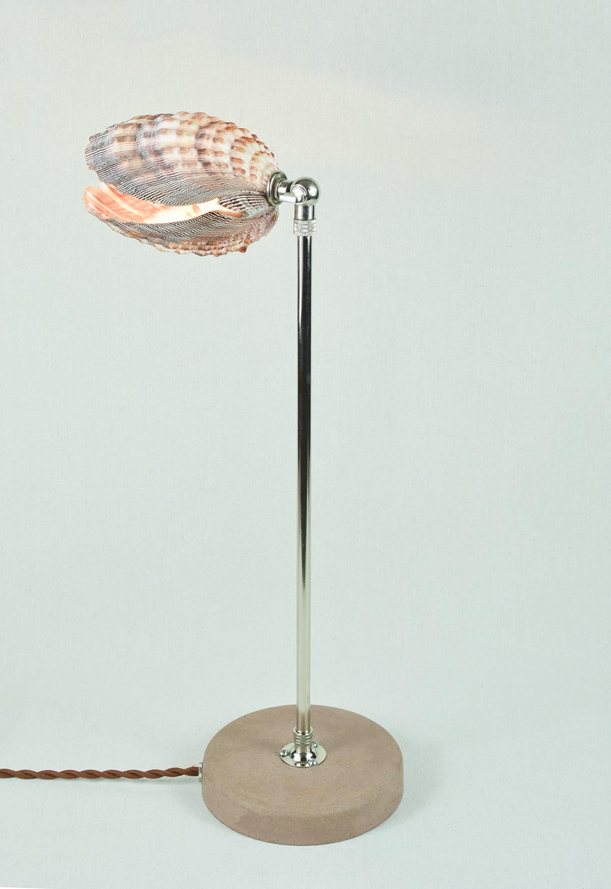 'Lavender Lion's Paw' Table Lamp in Nickel with Natural Scallop Shell Shade In New Condition For Sale In Brooklyn, NY