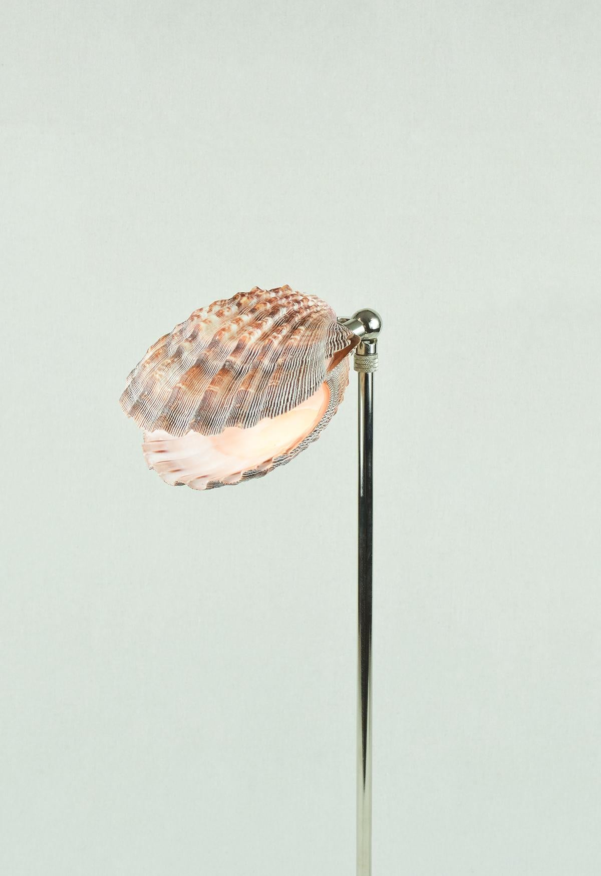'Lavender Lion's Paw' Table Lamp in Nickel with Natural Scallop Shell Shade For Sale 1