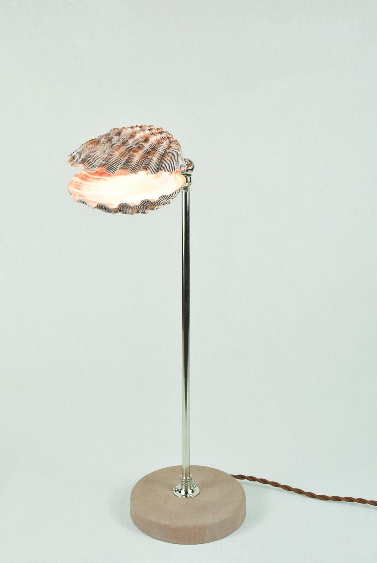 'Lavender Lion's Paw' Table Lamp in Nickel with Natural Scallop Shell Shade For Sale 2
