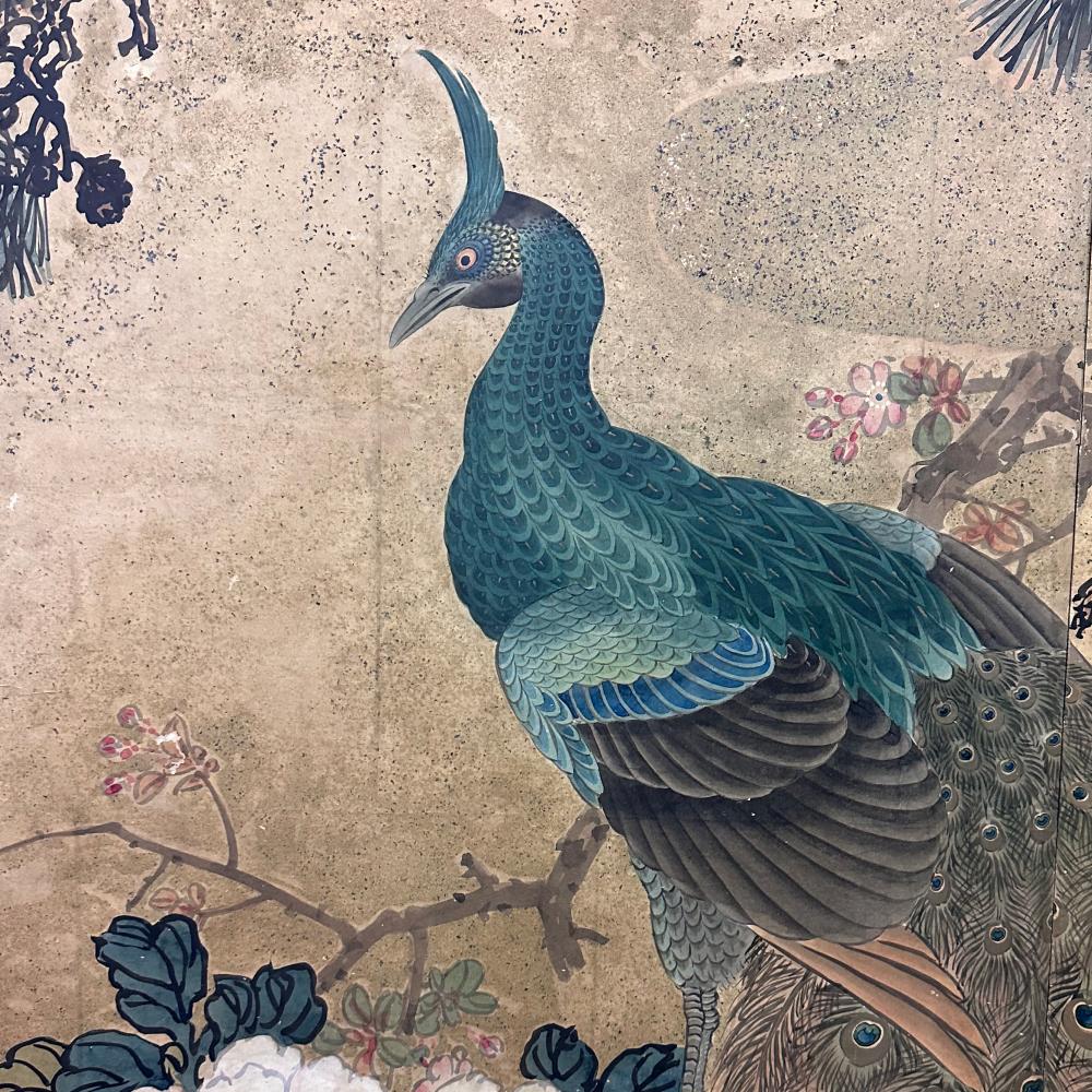 Hand-Painted Lavish 19th Century Maruyama School Peacock Screen For Sale