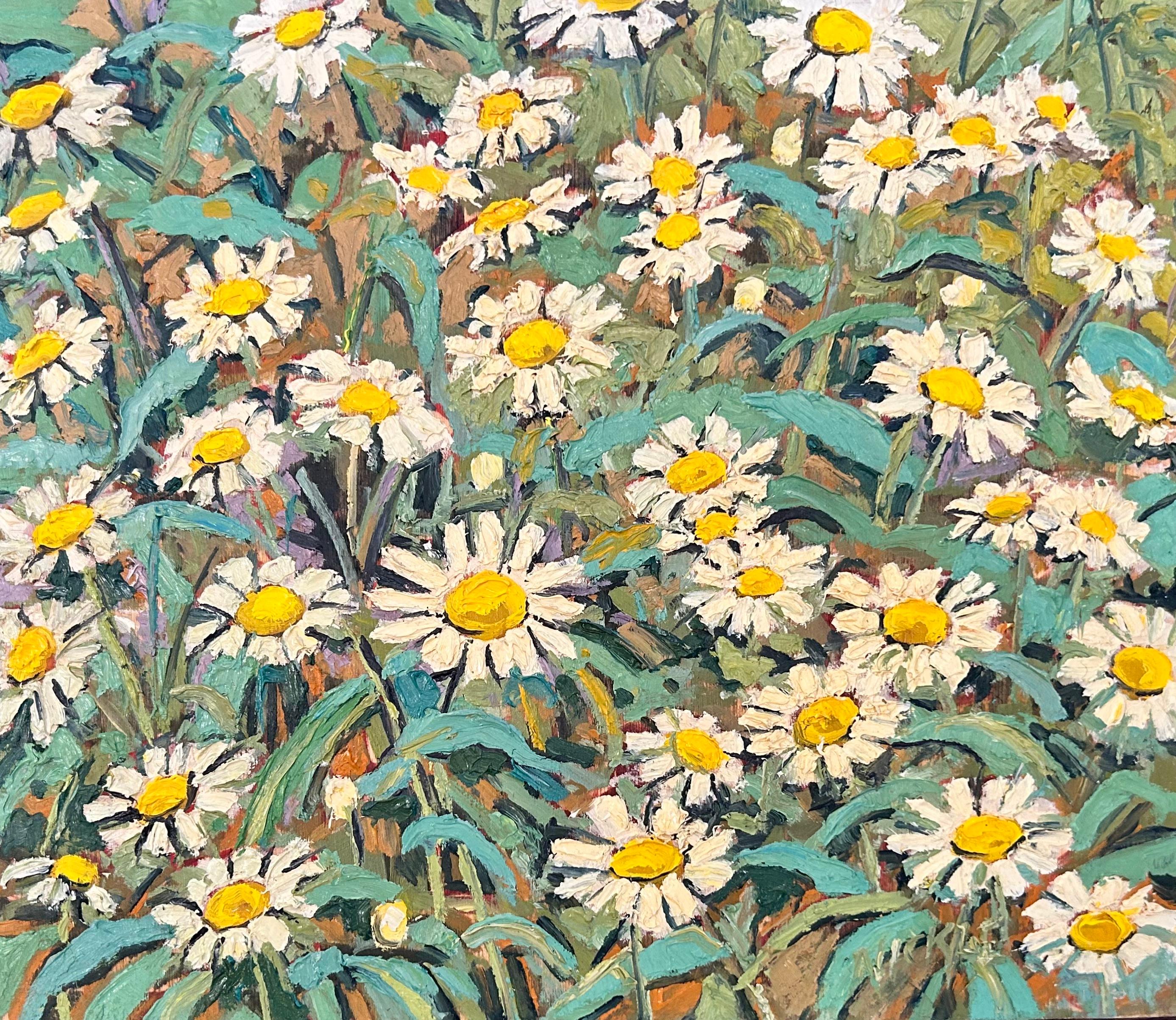 Lawrence Nickle Landscape Painting – Wildblumen-Ölgemälde „Daisies at Burks Falls Studio“