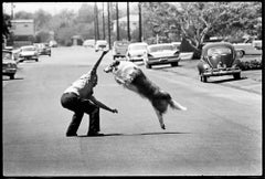 Frank Inn Training Lassie, 1964 by Lawrence Schiller - Vintage Hollywood