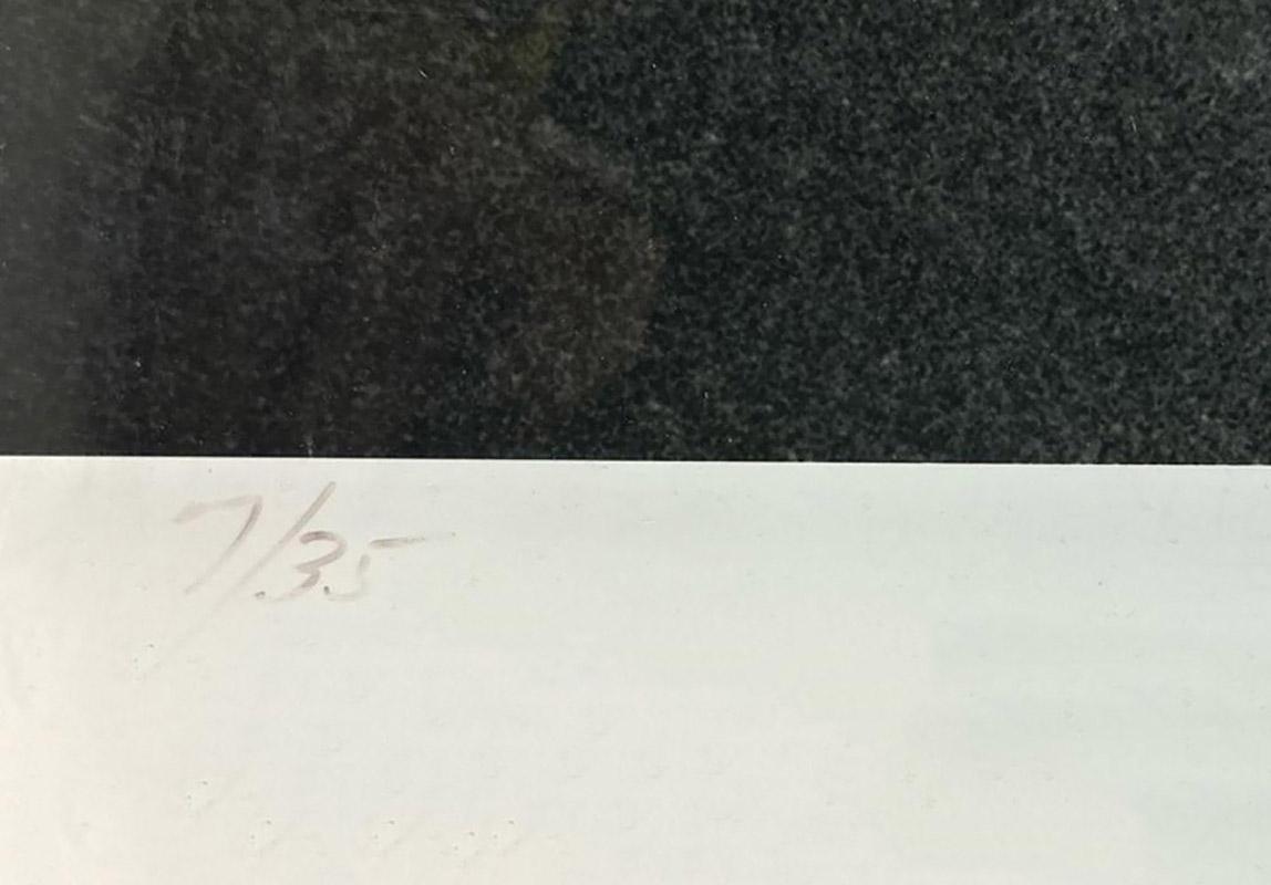 Lawrence Schiller, Marilyn Platinum's nº 35 - 1962, firmado y numerado. 2