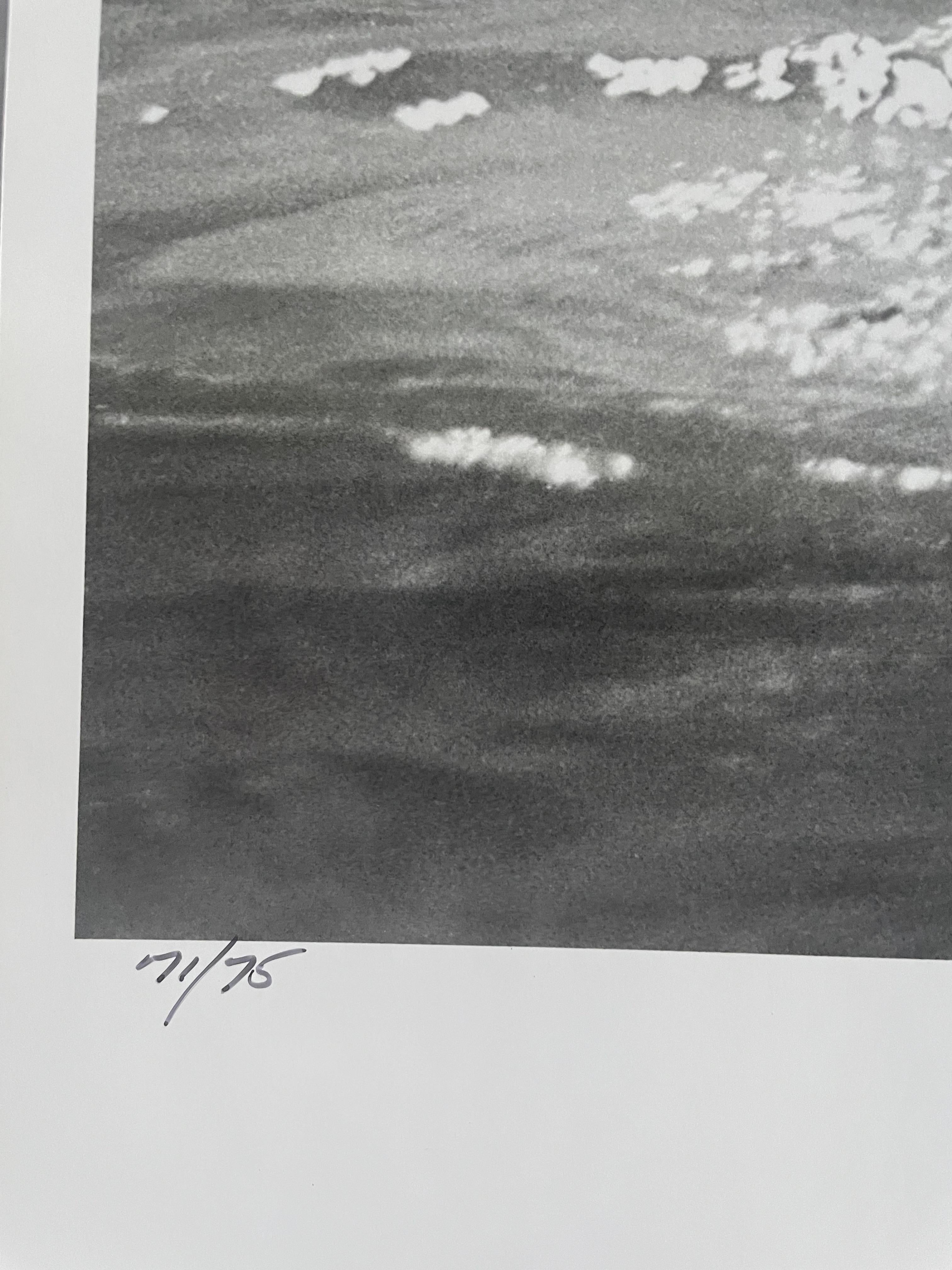 Né à Brooklyn en 1936, Lawerence Schiller a commencé à travailler au collège de San Diego, lorsqu'il a reçu son premier appareil photo.
Bien qu'un accident dans son enfance l'ait rendu aveugle d'un œil, il est devenu un photographe obsessionnel.