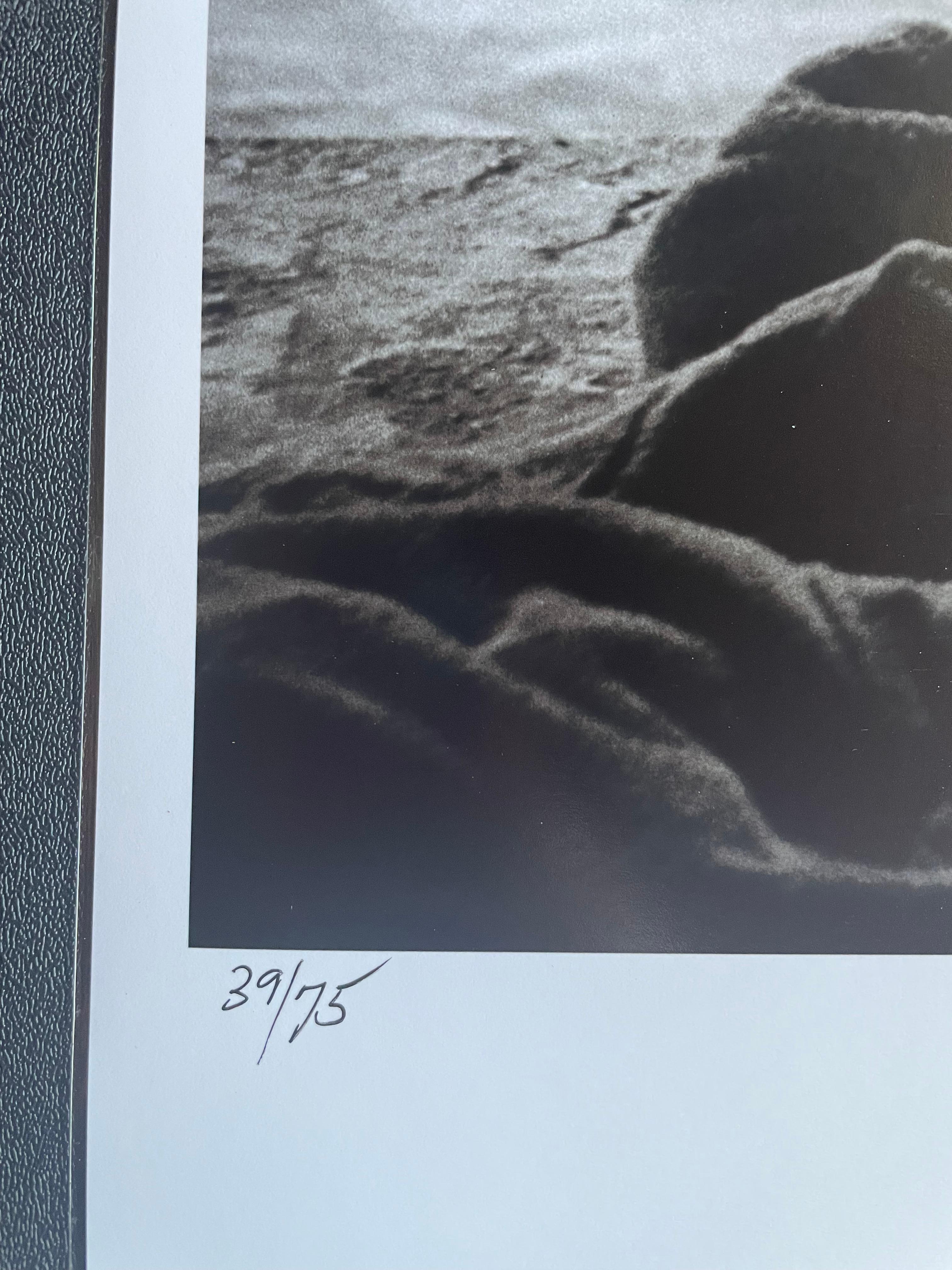  Né à Brooklyn en 1936, le travail de Lawerence Schiller a commencé au collège à San Diego, lorsqu'il a reçu son premier appareil photo.
Bien qu'un accident survenu dans son enfance l'ait laissé avec une déficience visuelle d'un œil, il est devenu