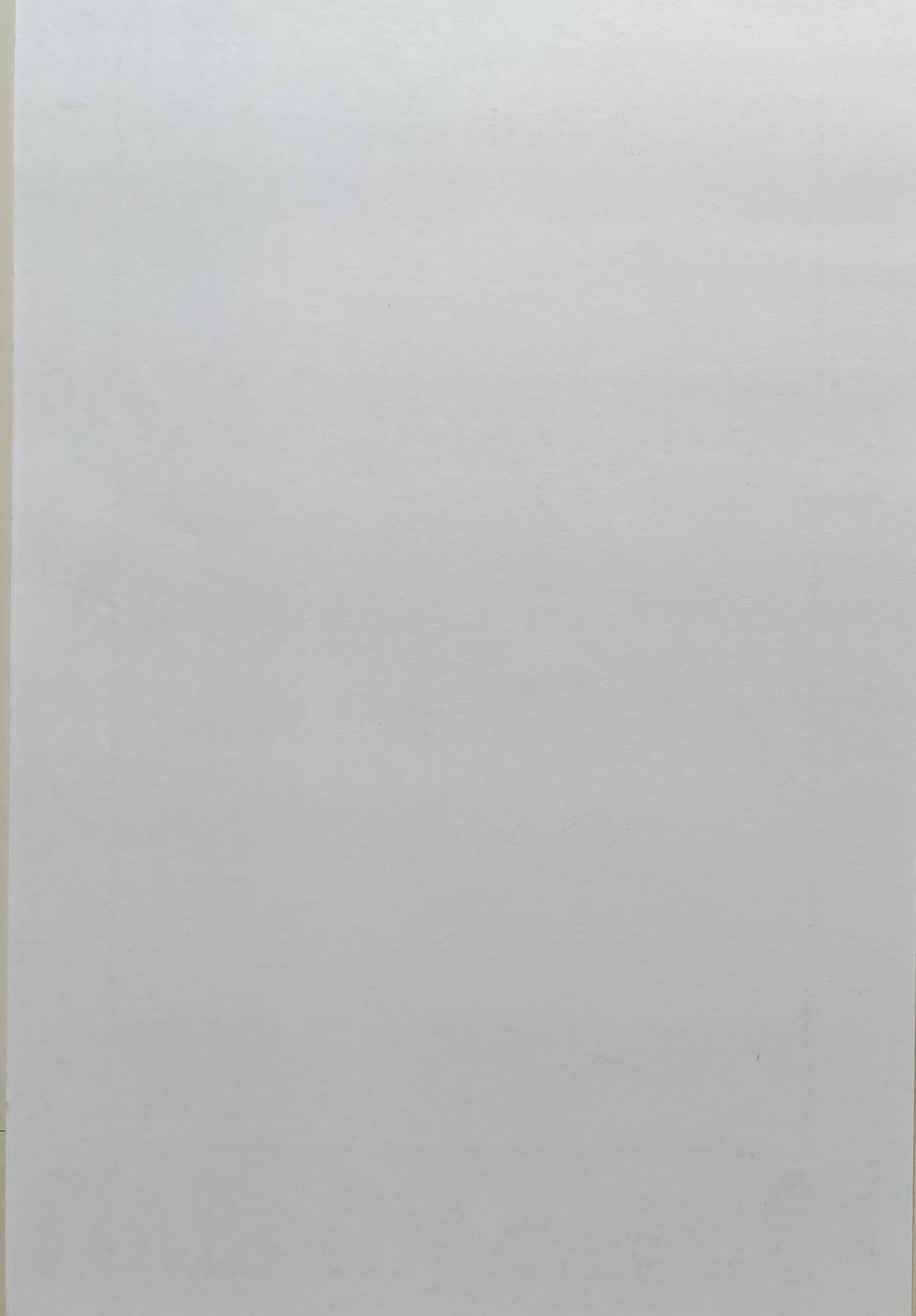 Jonathan Richman Live on stage at The Kitchen, (Hand signed by Lawrence Weiner) For Sale 4