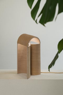 Ensemble de deux grandes lampes d'Evelina Kudabaite