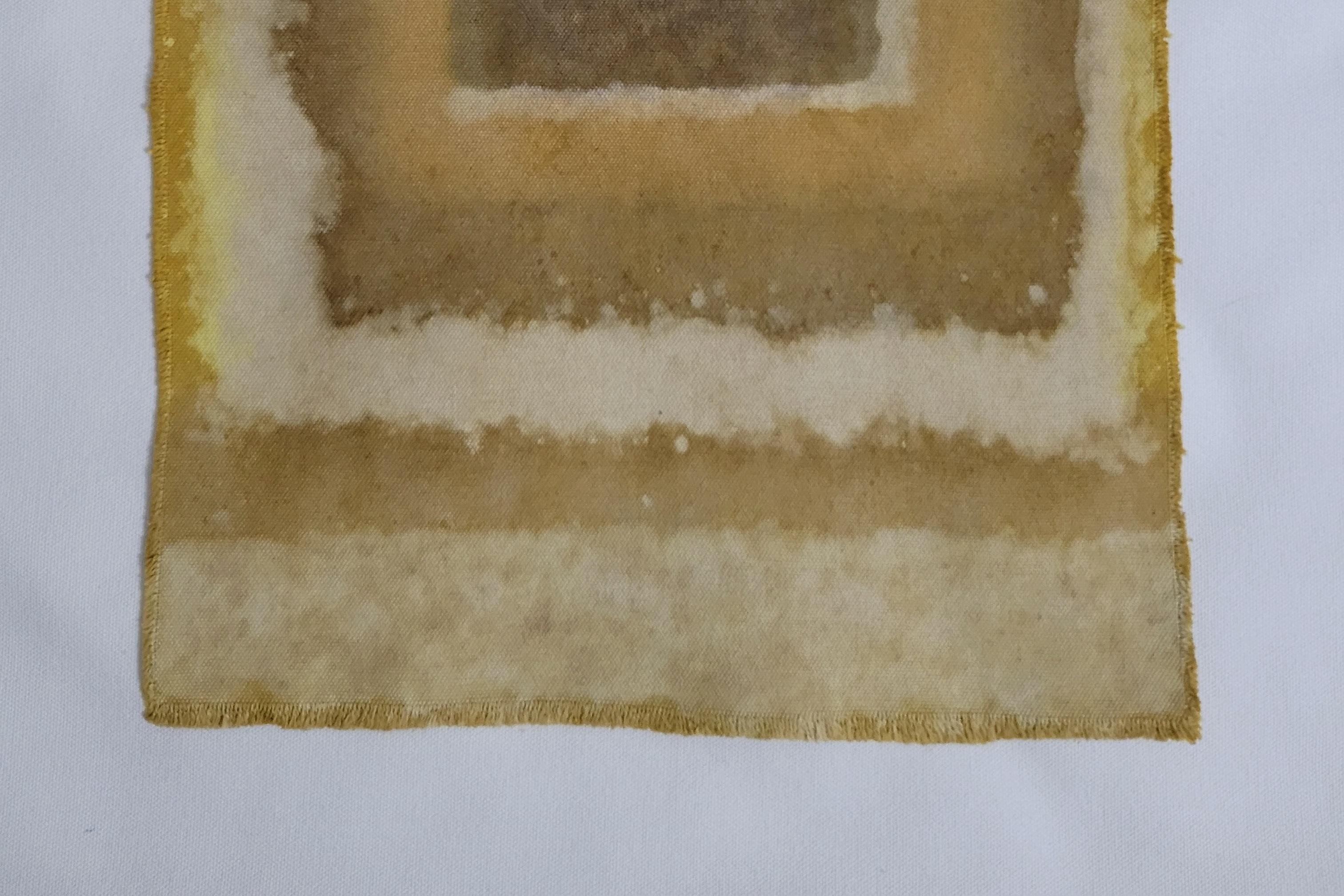 Turco LAYERS OF TIME (22) – Plant-Dyed Botanical Art on Cotton Canvas in vendita