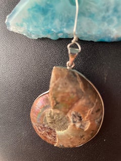 LB offers Ammonite Agate pendant Faceted Agates Brown Agates SS Necklace
