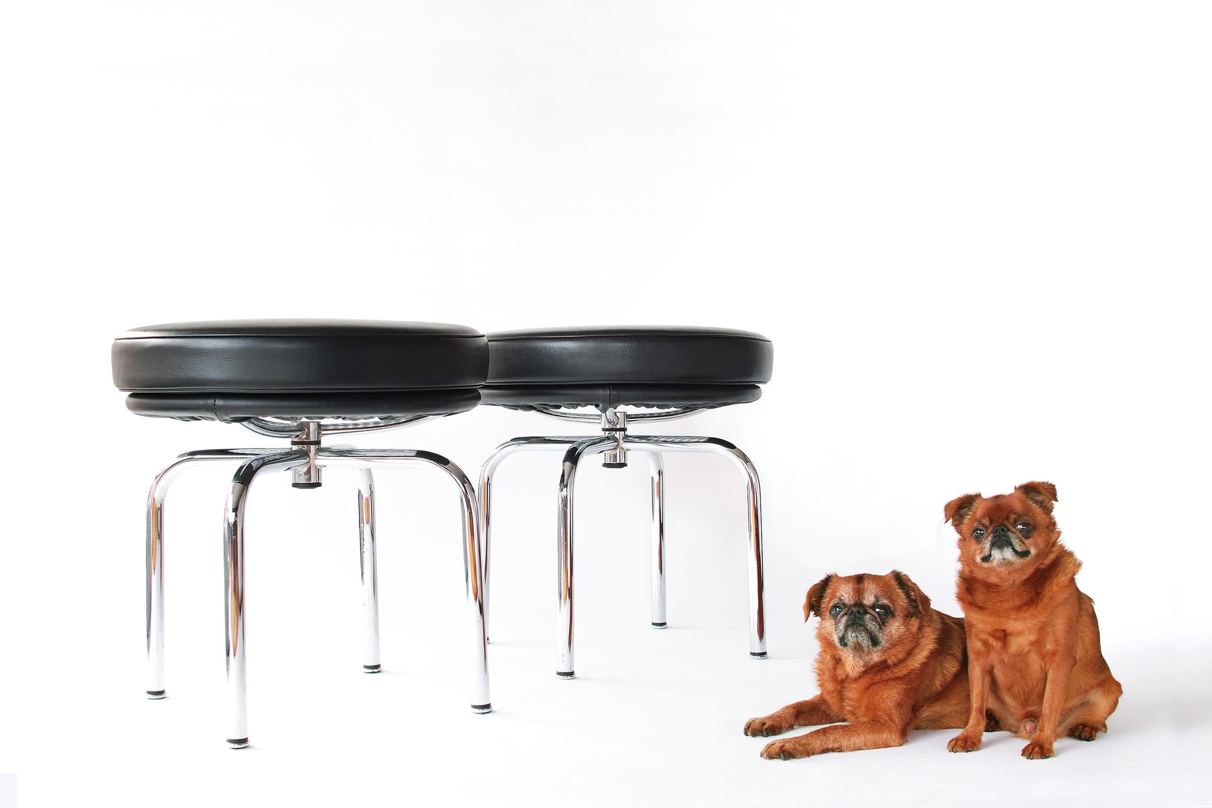 The LC8 swivel stool (1928) evolved from one of a number of experiments, including an attempt to fashion a chair by wrapping inner tubes from tires around a steel frame. As the Le Corbusier group refined such trials, sensuous solutions took form.