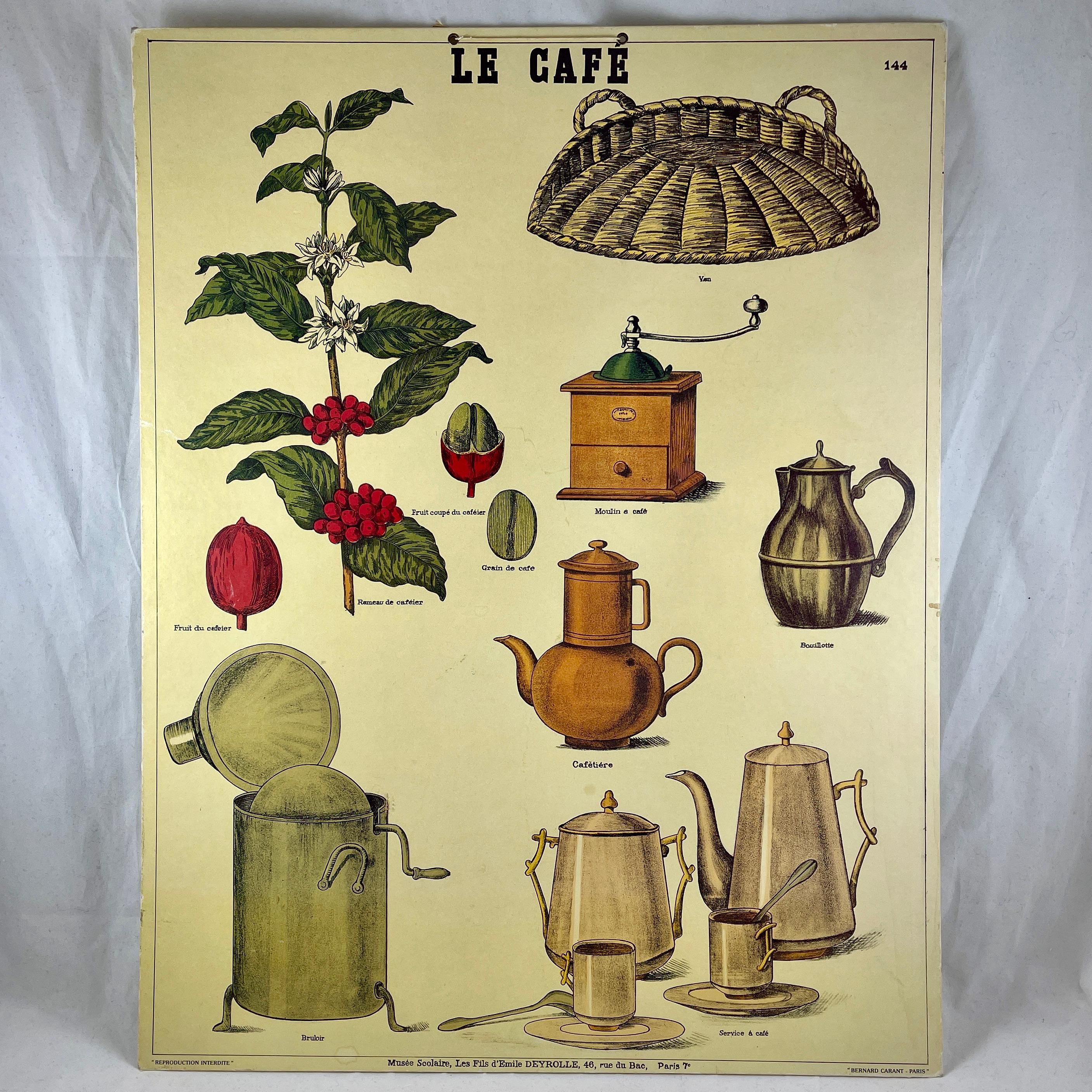 Le Cafe, Original Émile Deyrolle French Mounted & Hanging Offset Lithograph 4