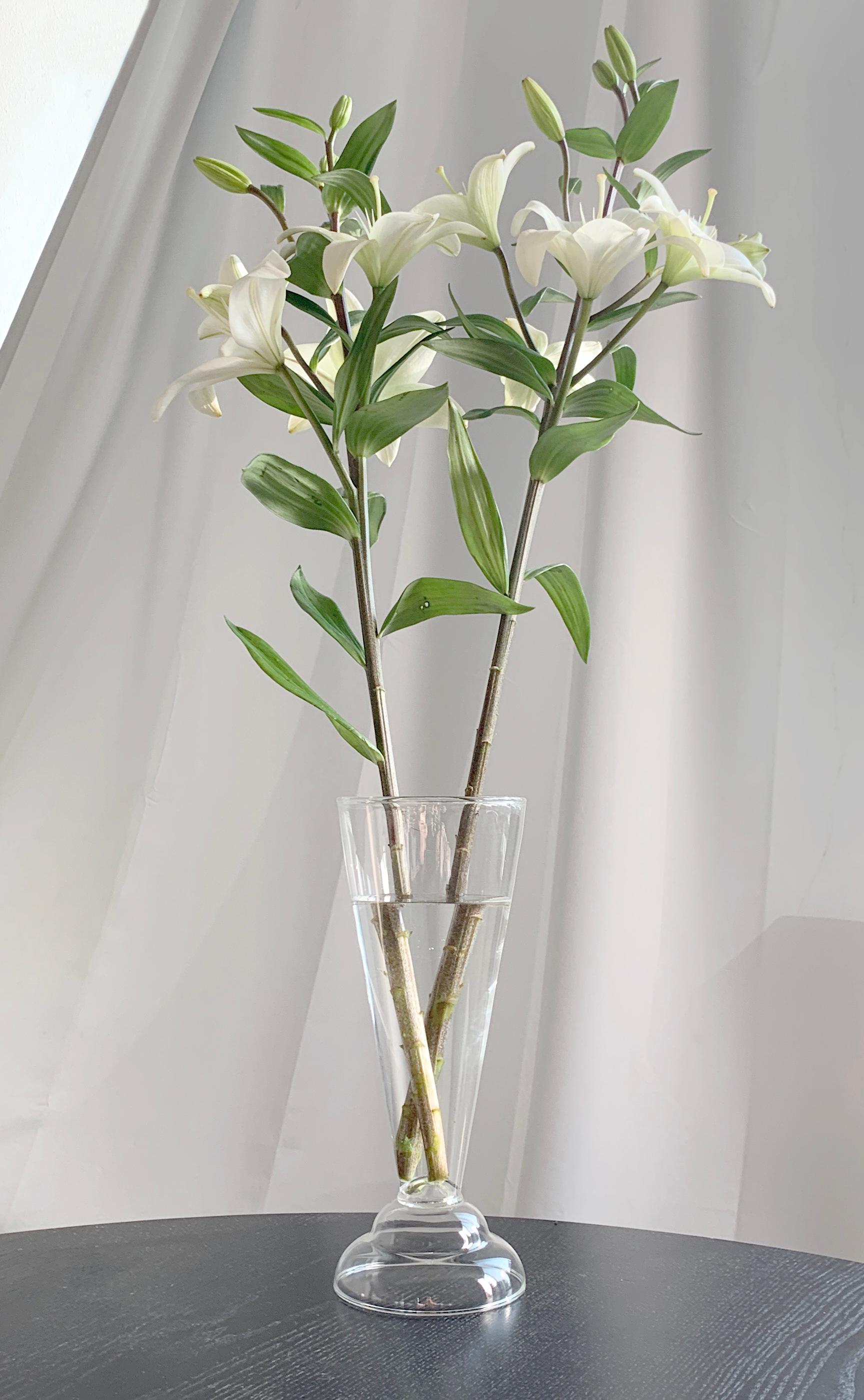 21st Century Contemporary Glass Vase Handmade in Italy by Ilaria Bianchi. It's a part of Le Coppe collection which which also consists of other beautiful glasses for wine, water and etc.

Le Coppe vase is masterly handblown in Italy in borosilicate