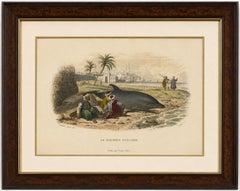 Le Dauphin Vulgaire (Common Dolphin), Hand-Colored Engraving, 1840